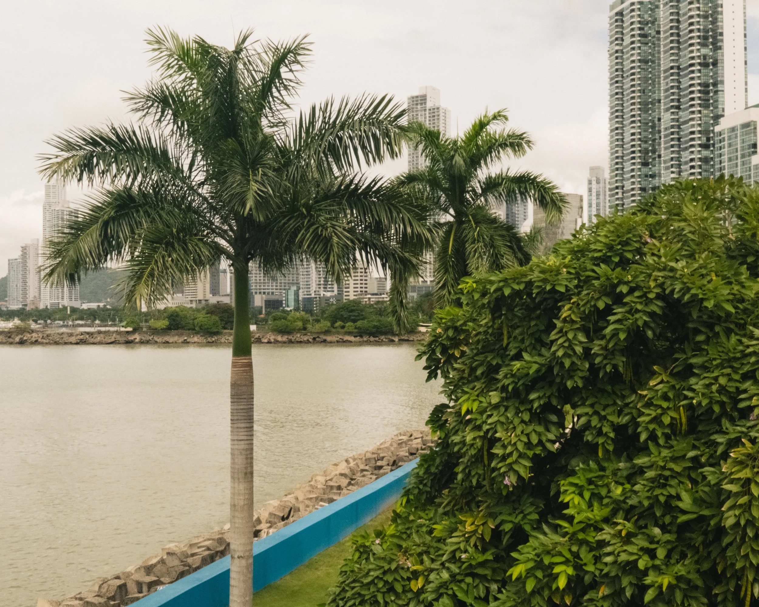 AP Final Edits 2-19.jpg