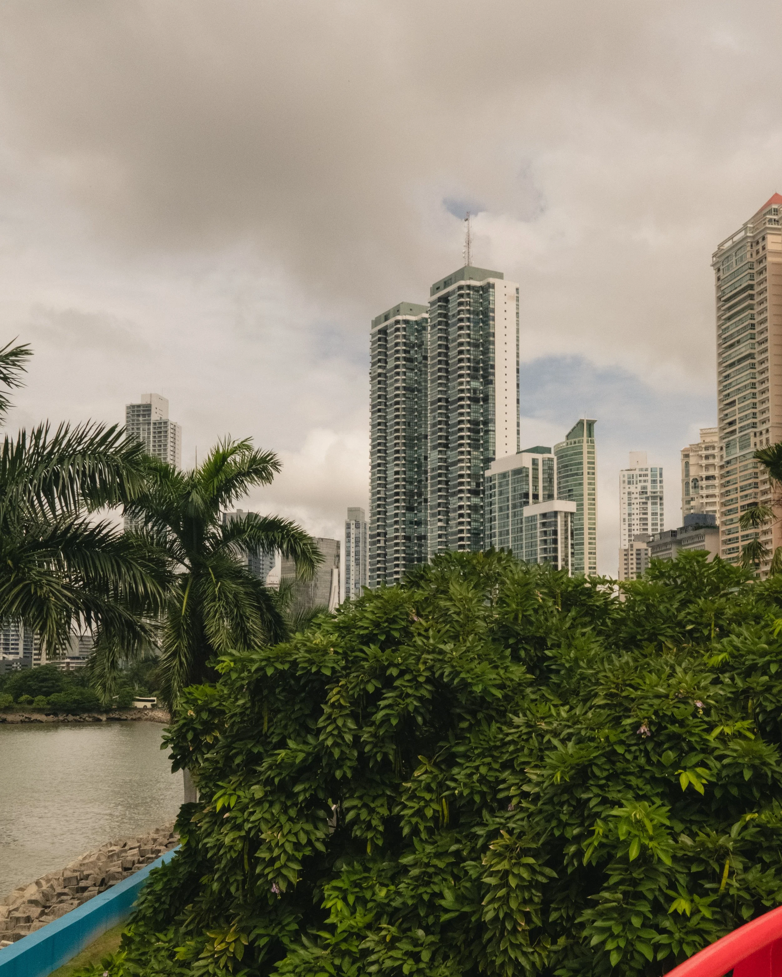 AP Final Edits 2-20.jpg