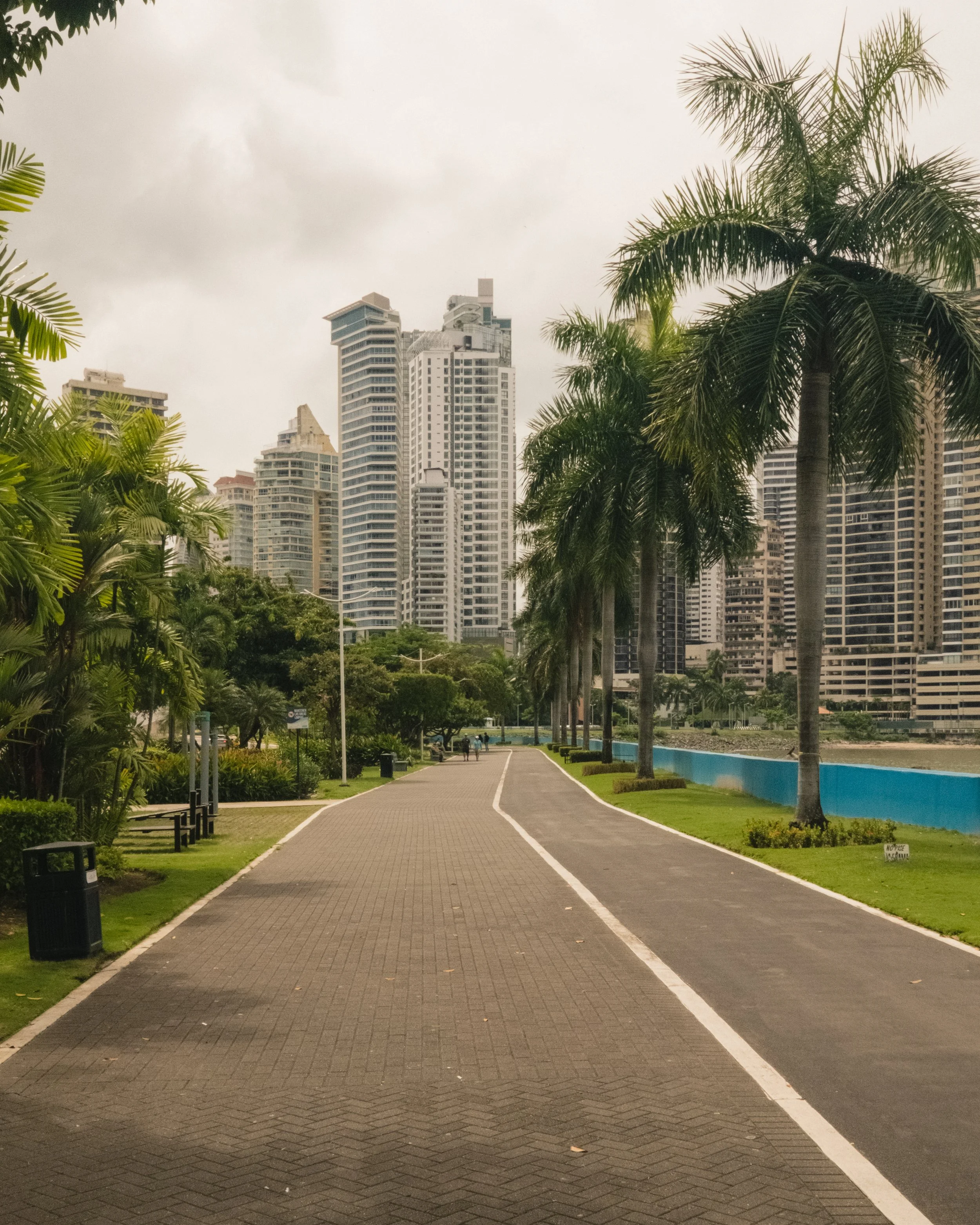 AP Final Edits 2-21.jpg