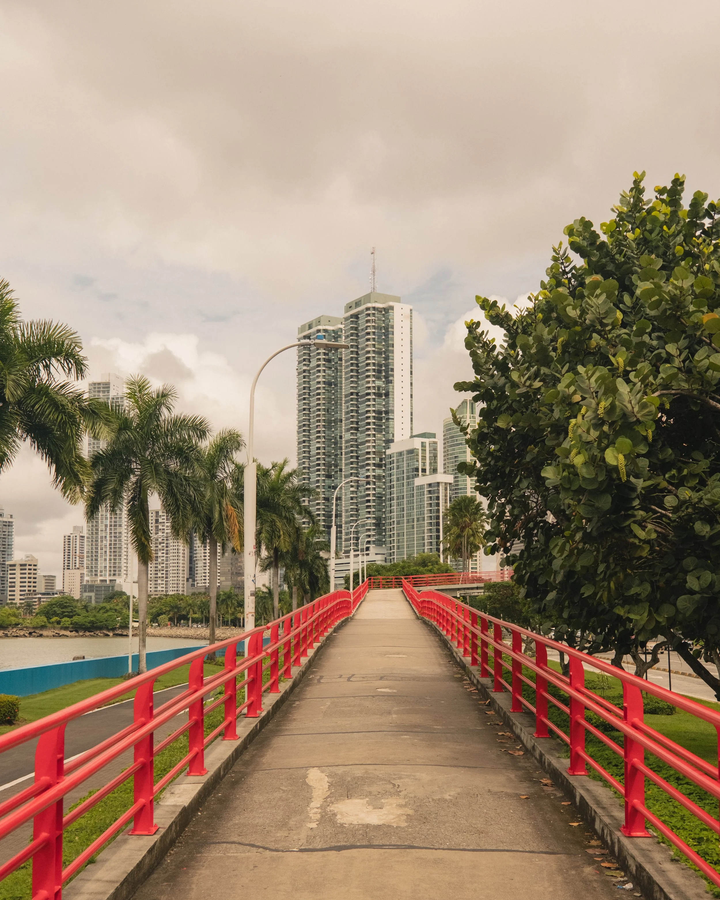 AP Final Edits 2-25.jpg