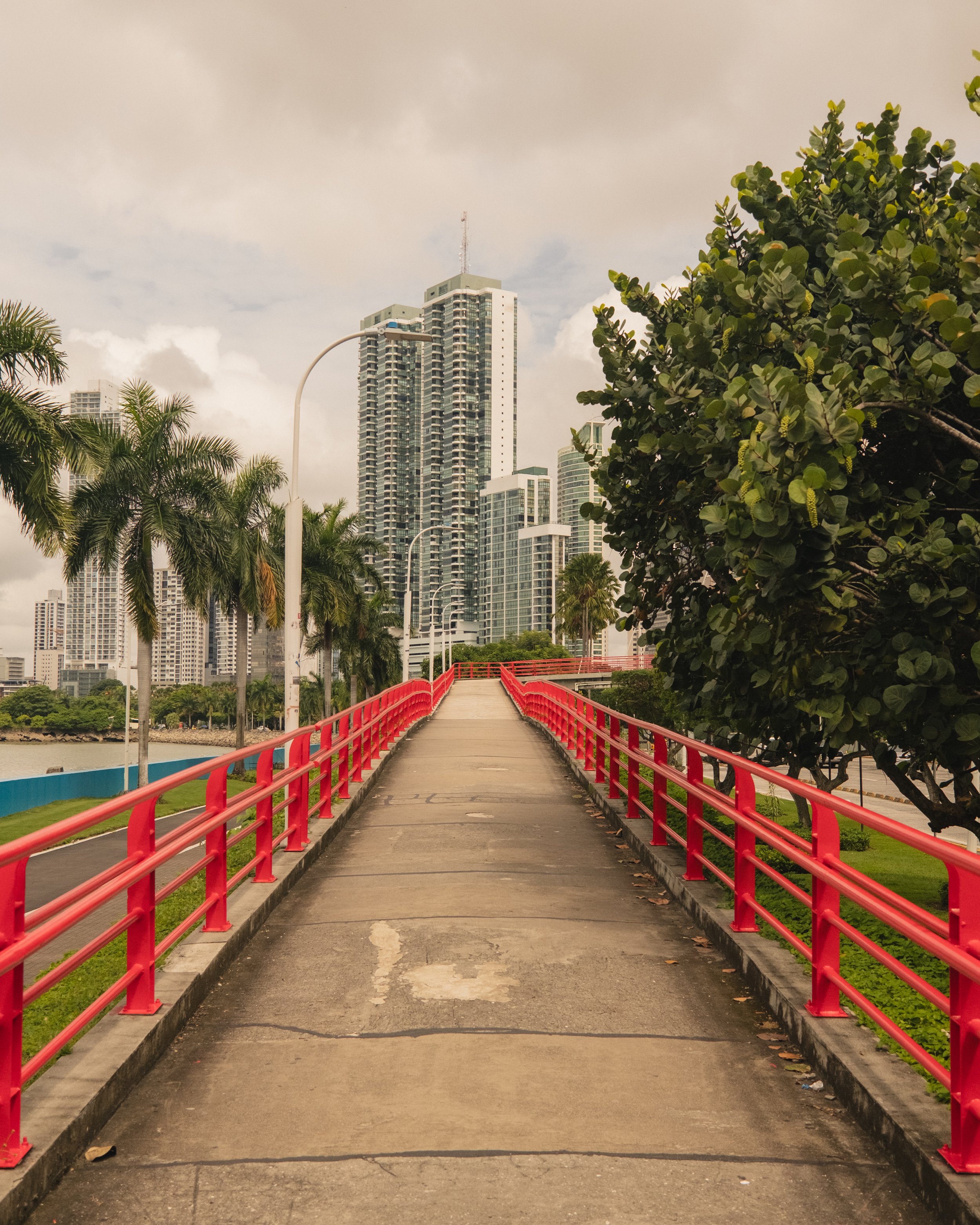 AP Final Edits 2-26.jpg