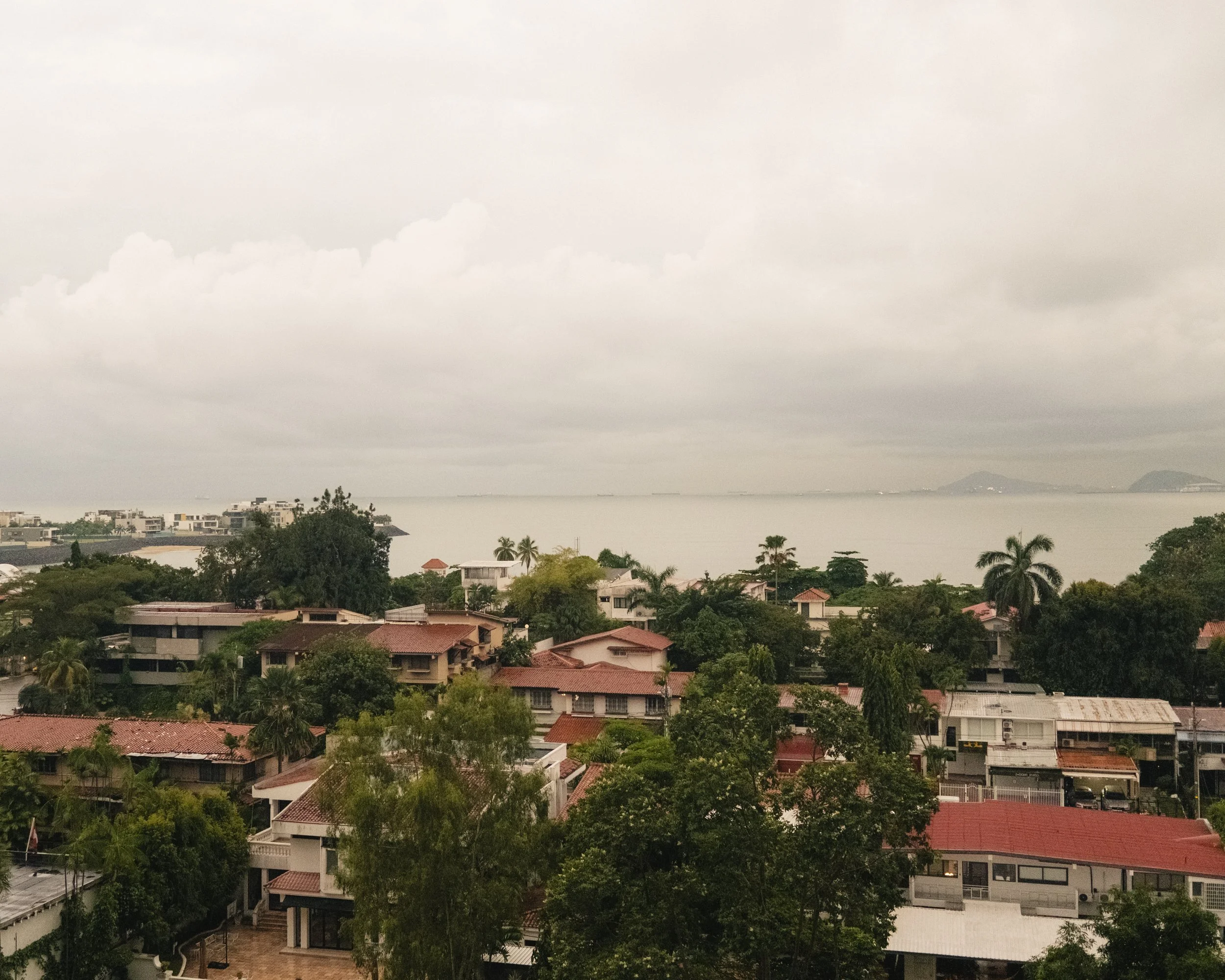 AP Final Edits 2-28.jpg