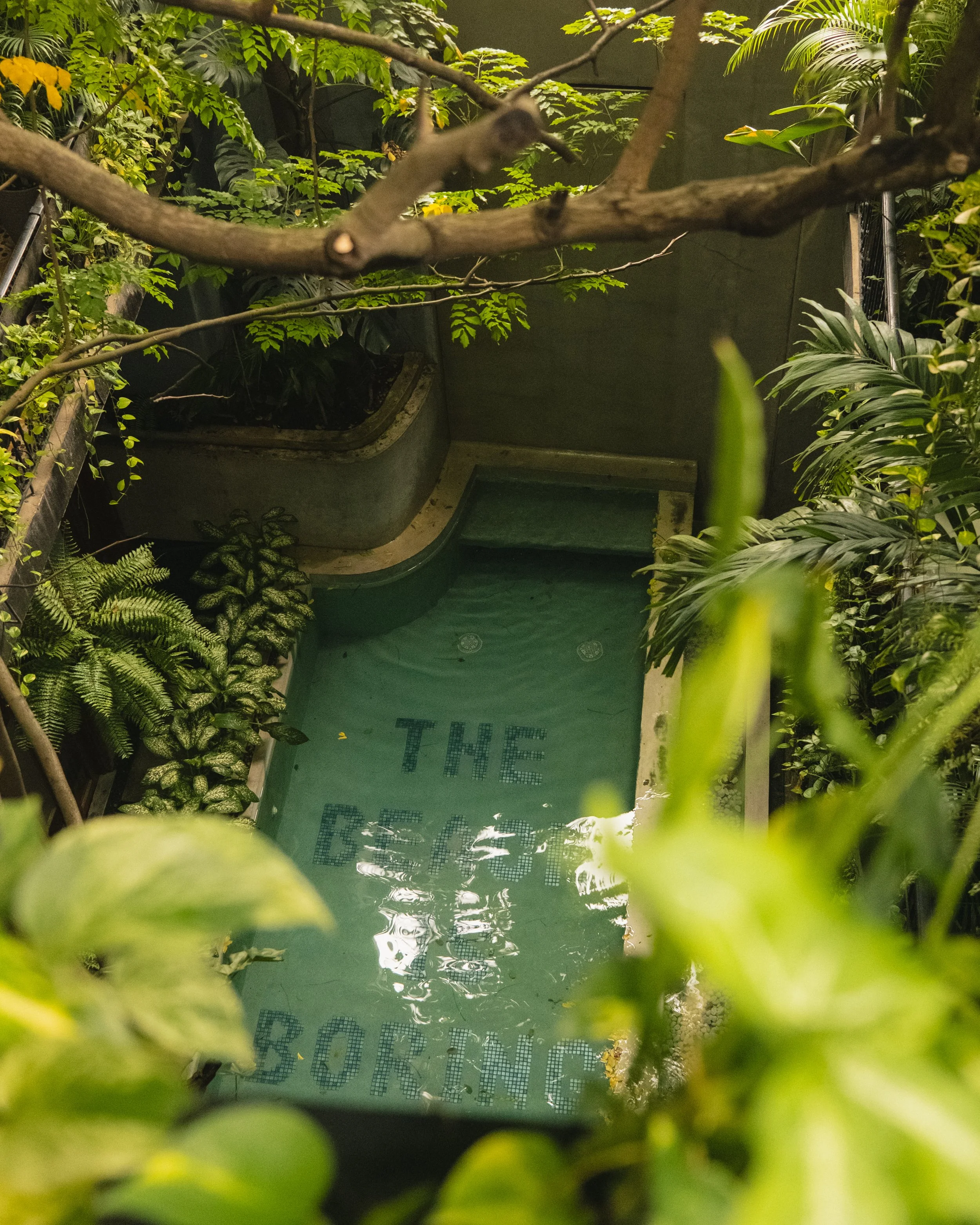 AP Final Edits 2-29.jpg