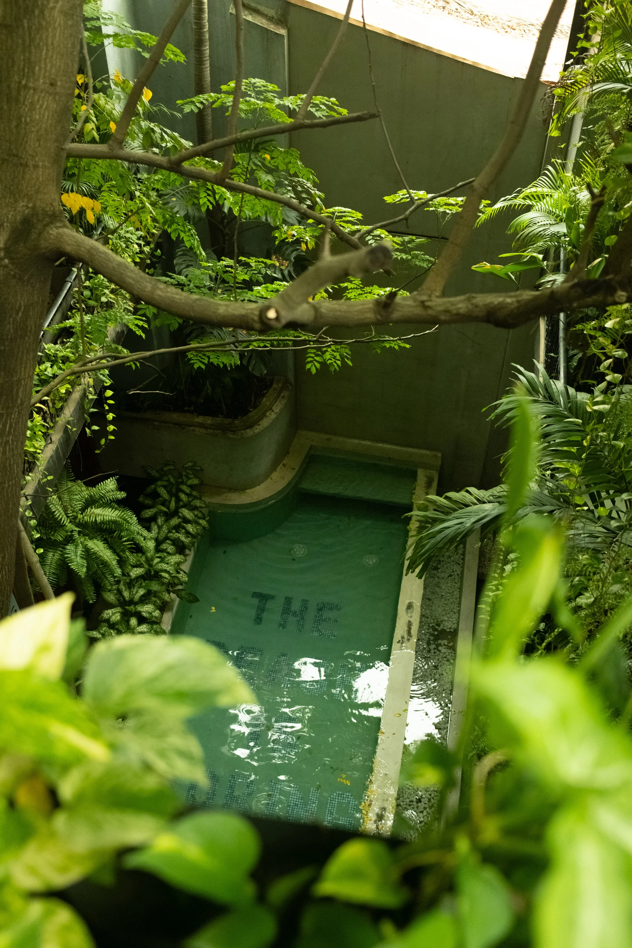 AP Final Edits 2-30.jpg