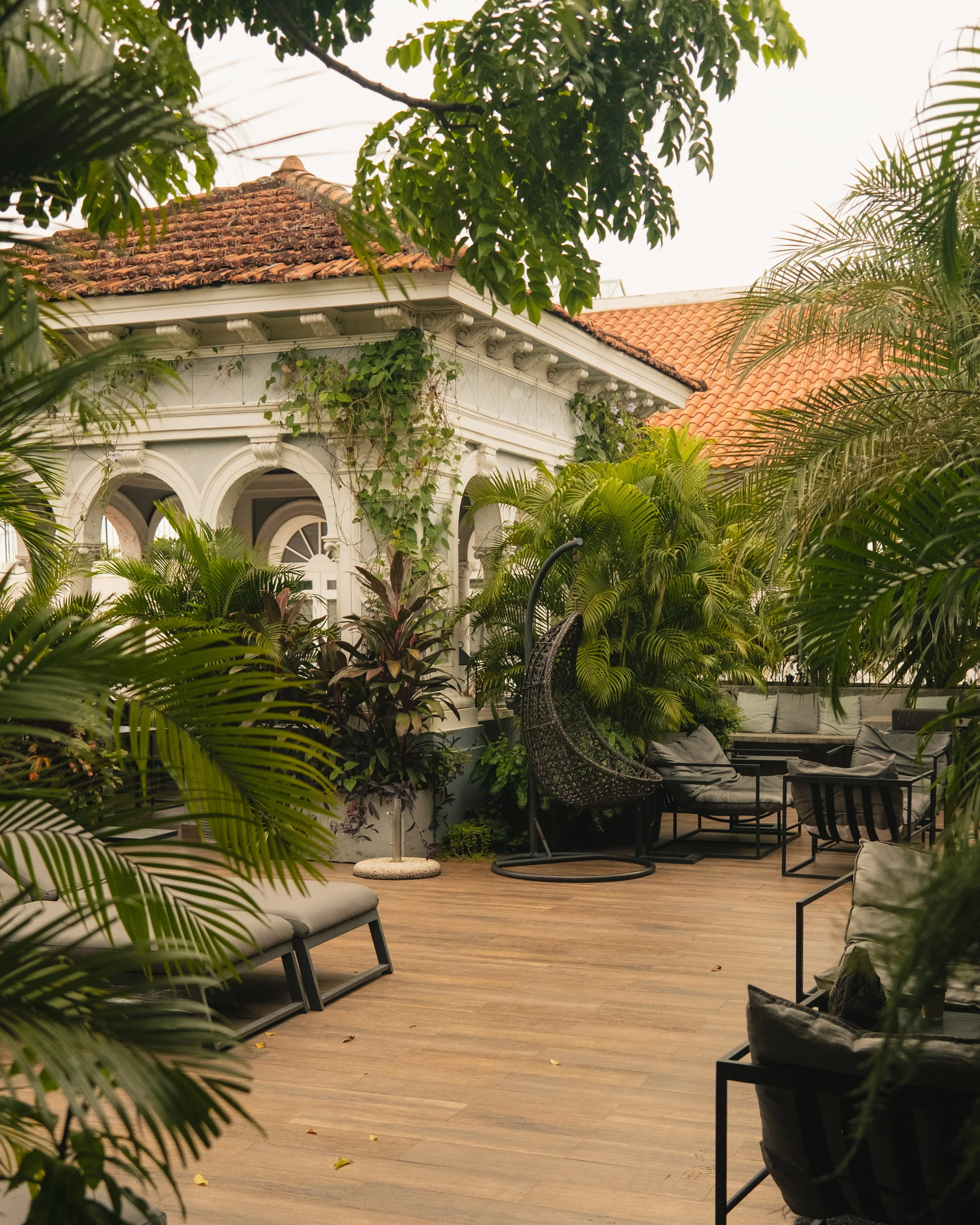 AP Final Edits 2-31.jpg