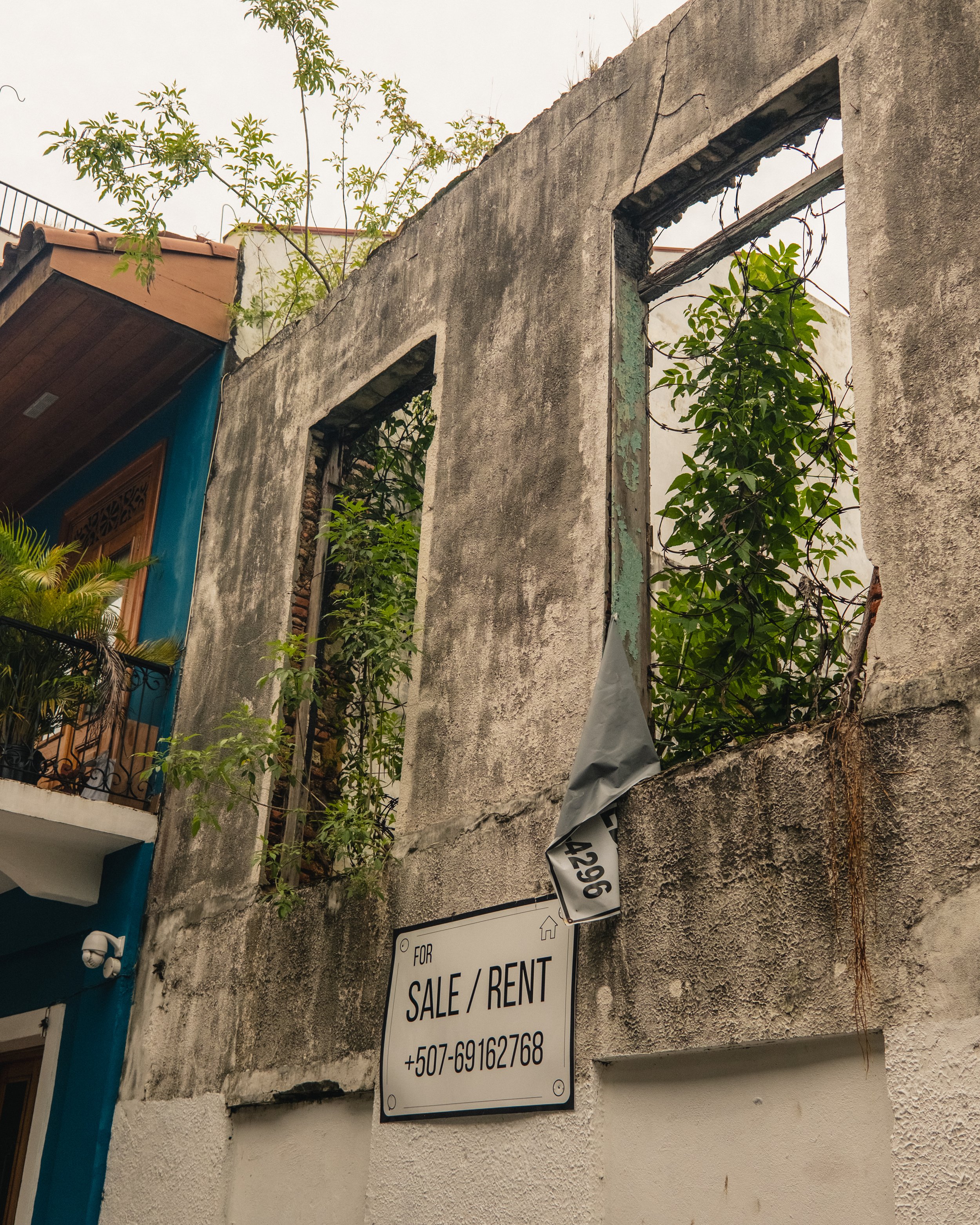 AP Final Edits 2-36.jpg