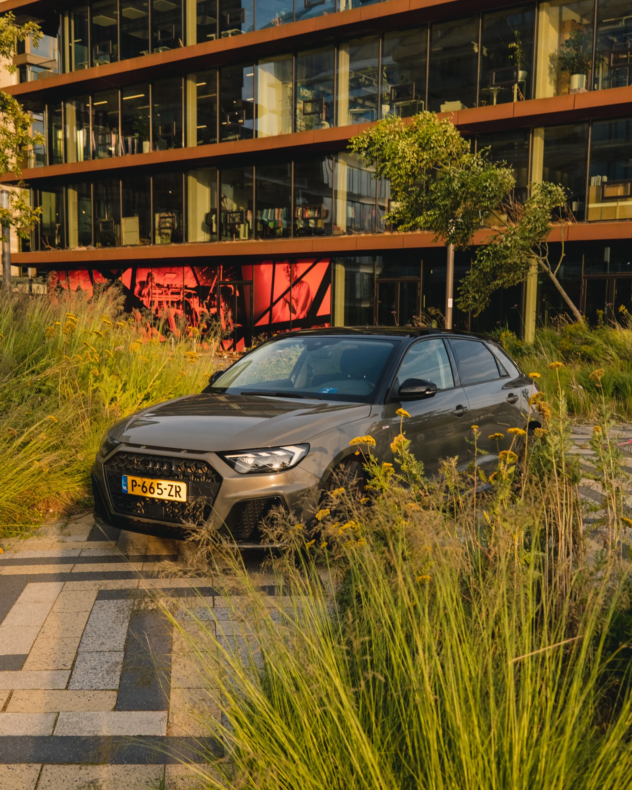 Amsterdam fuji-20.jpg