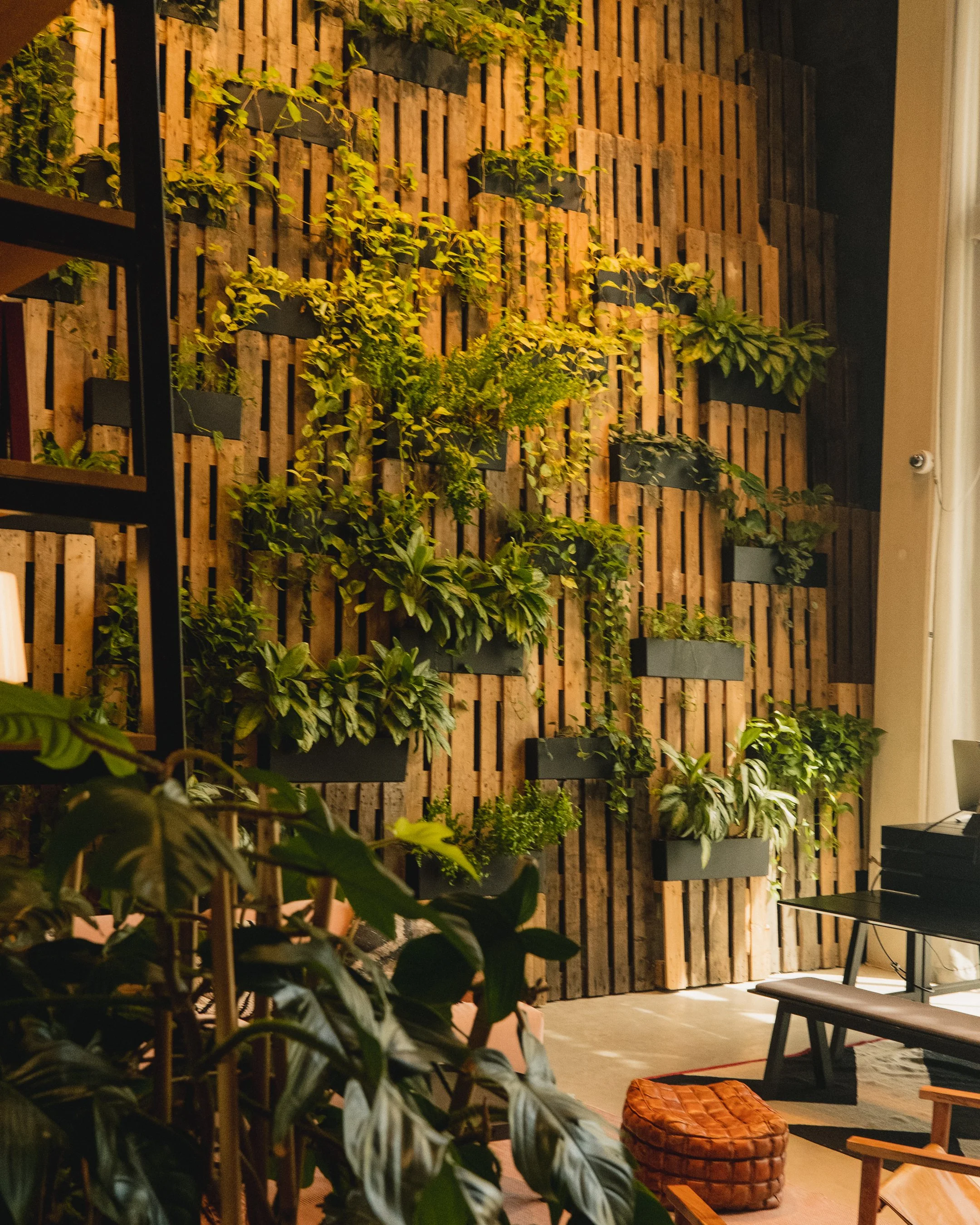 Amsterdam fuji redo-1.jpg