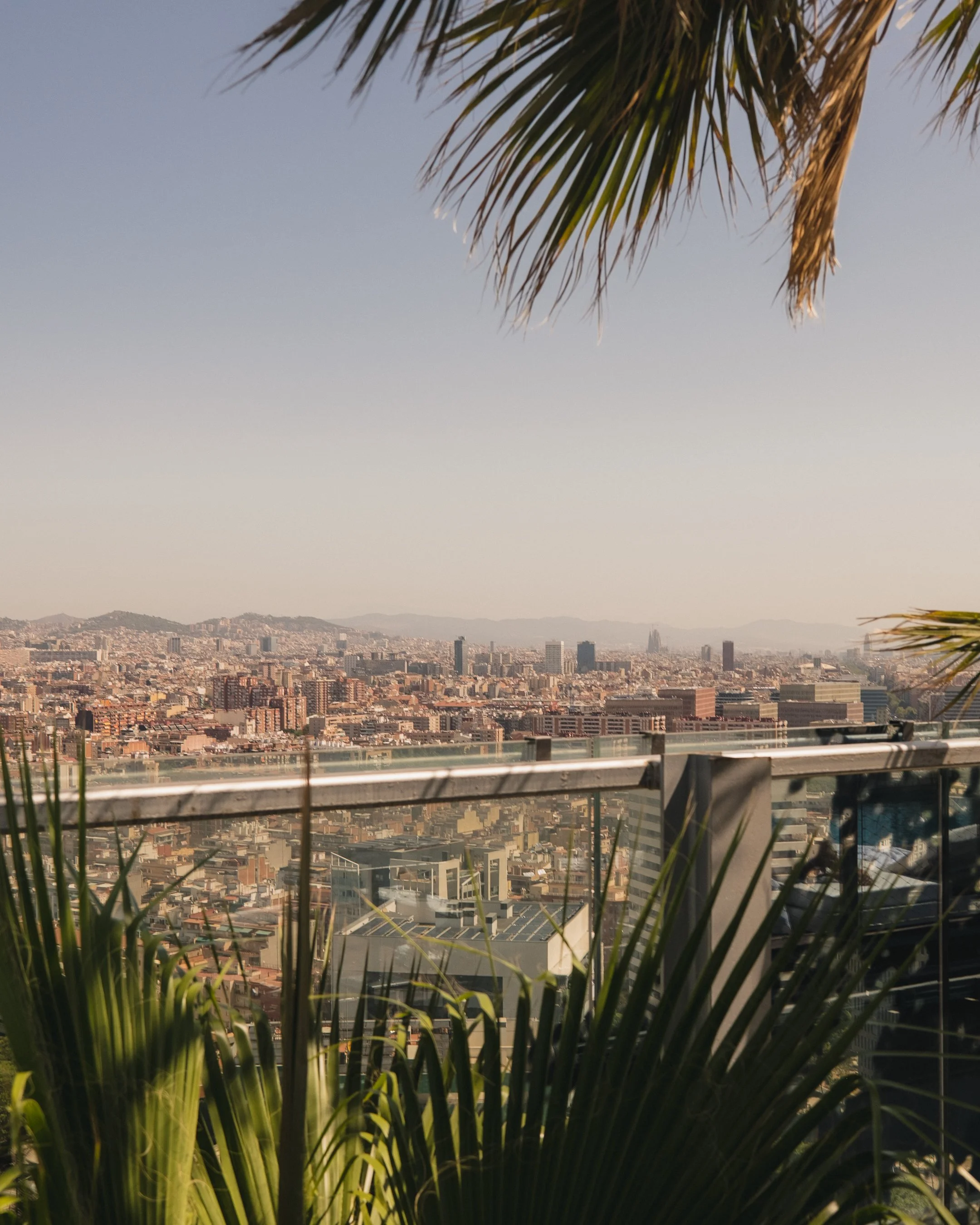 Barca Fuji-4.jpg