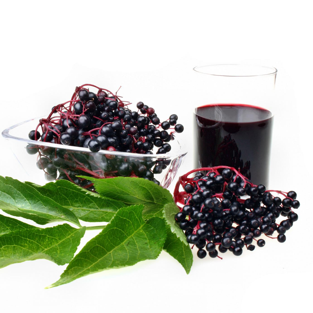Elderberry Syrup