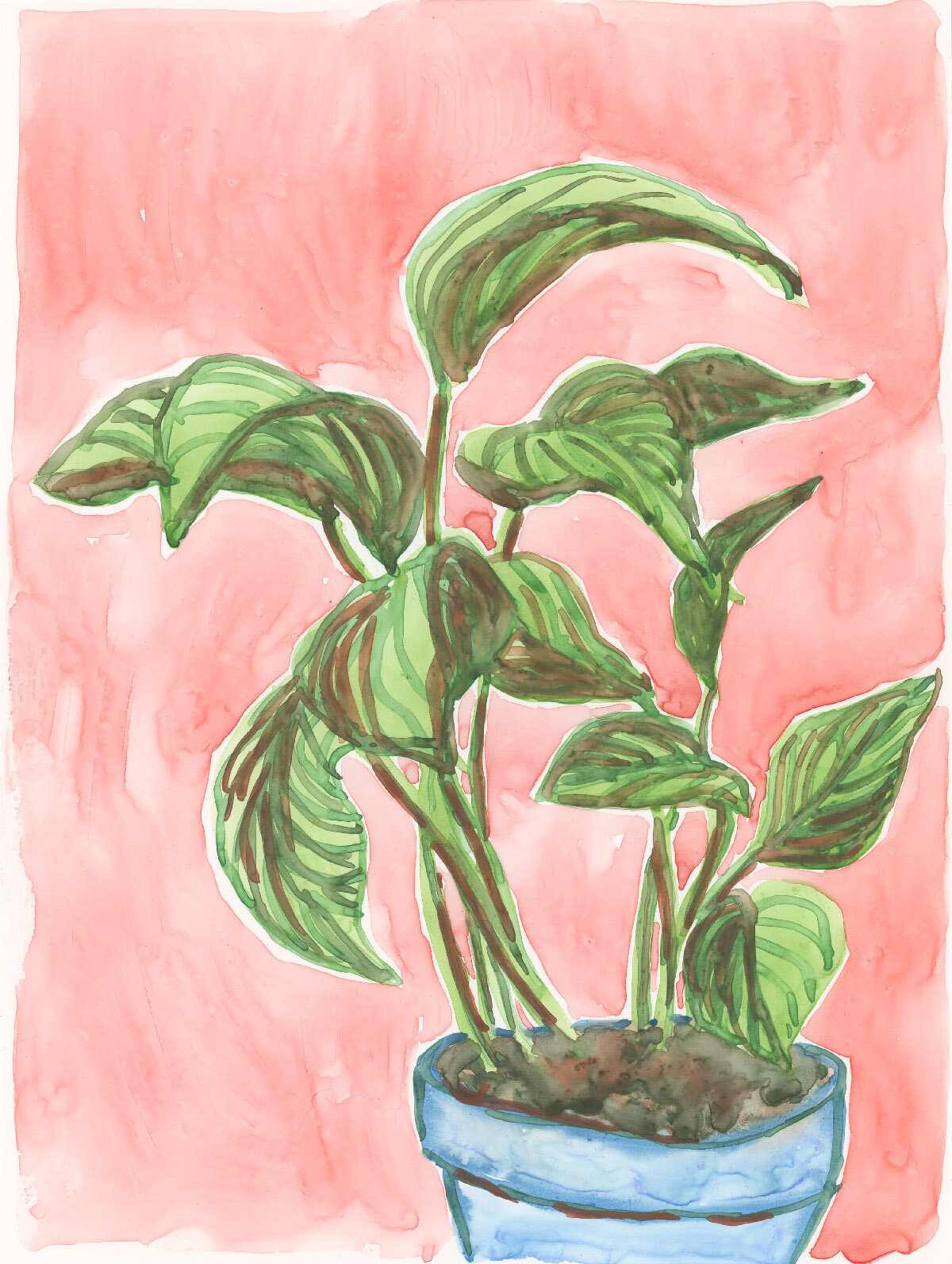 carlycorrea_yupoplant_2017-edit-sm.jpg