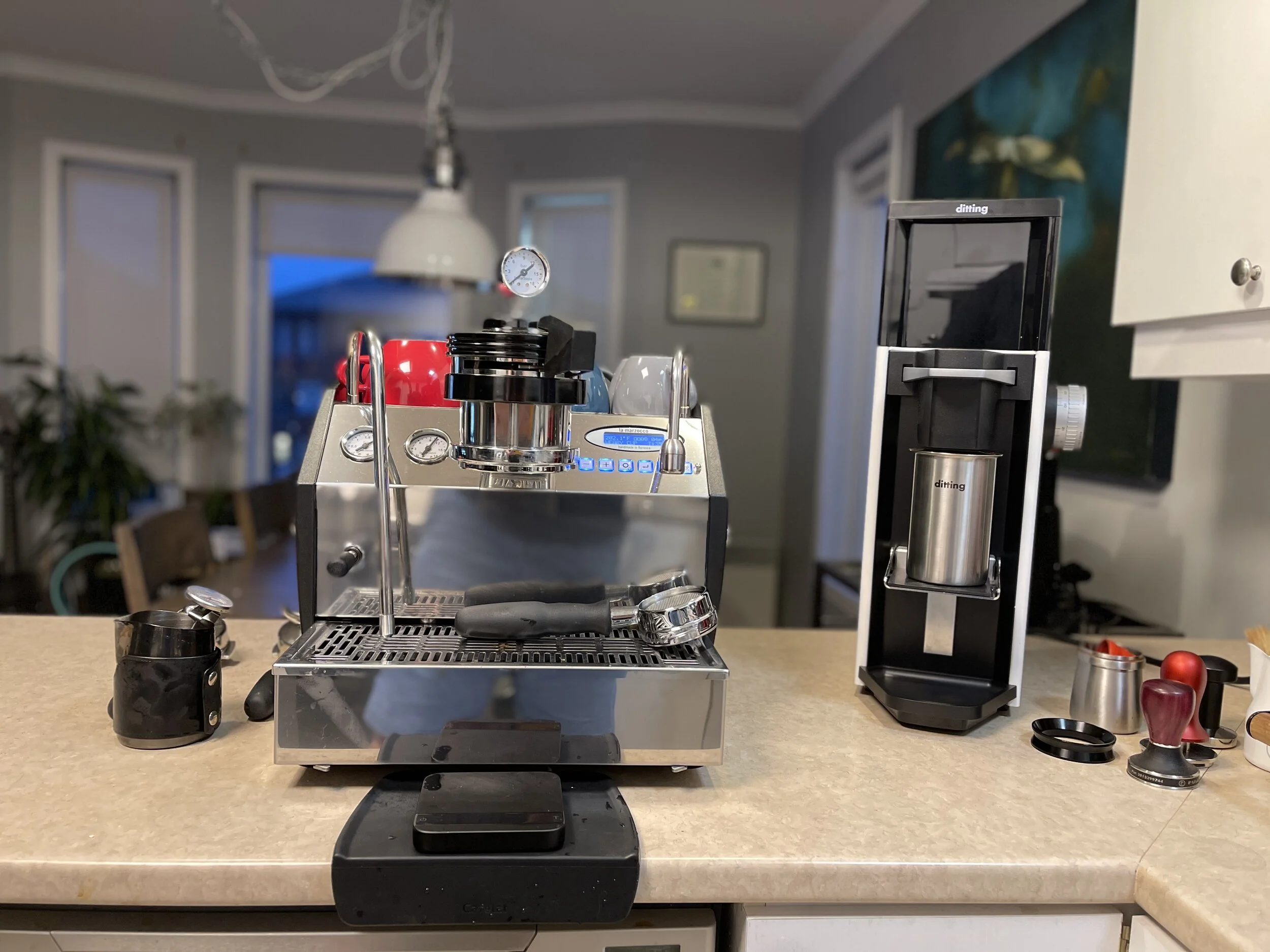 Review of the Ditting 807 Lab Sweet 