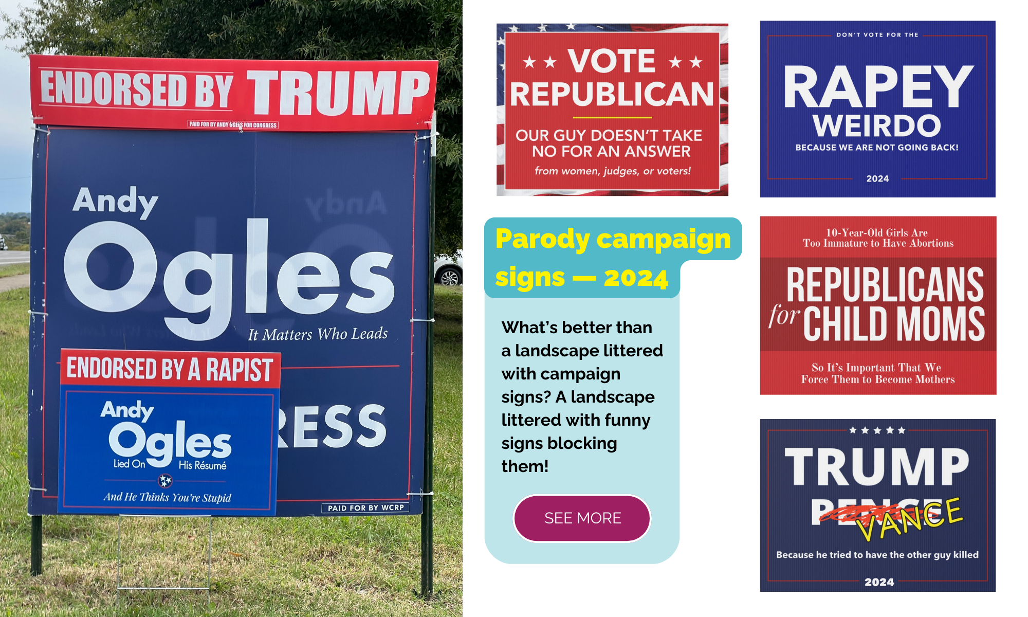 Satirical political campaign signs