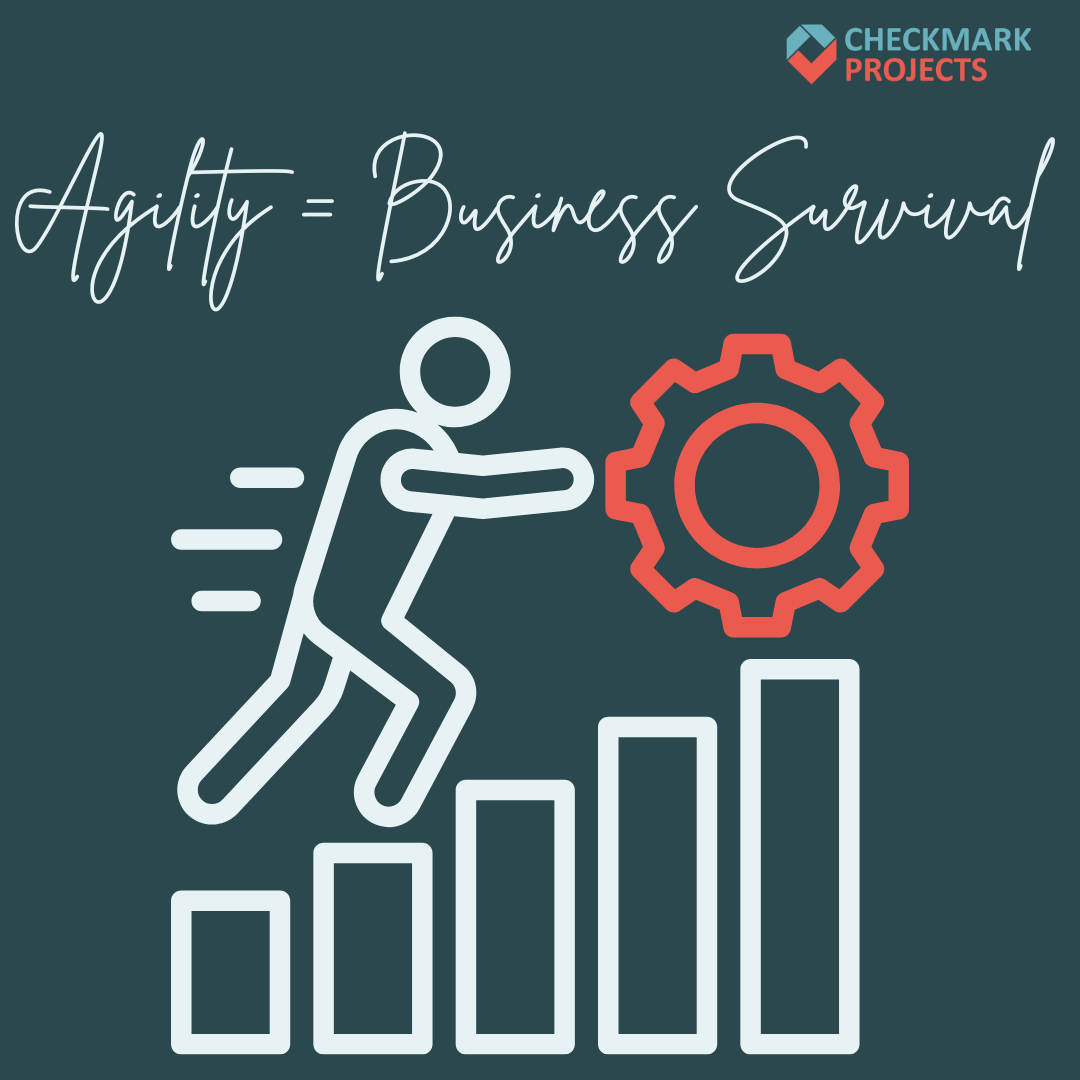 Building a Resilient Business: Why Operational Agility Matters