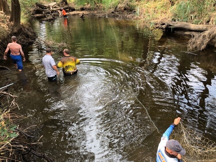 Building the ark: the NSW Native Fish Drought Response in 2019/20 ...