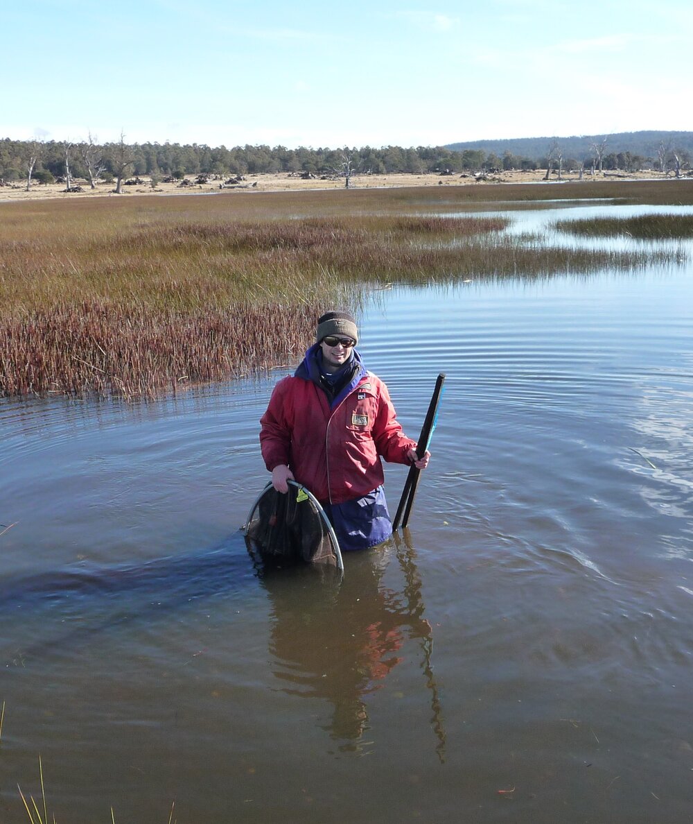  Scott Hardie hauling fyke nets in Kemps Marsh, Lake Sorell (central Tasmania) at the end of the Millennium Drought, when high water levels enabled golden galaxias ( Galaxias auratus ) to breed in the fringing wetlands of this lake for the first time