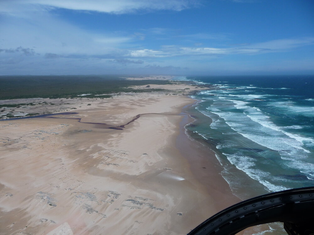  View of the beautiful Tarkine coastline, north-west Tasmania, during helicopter-based fish surveys in rivers in the region in January 2015. Submitted by Scott Hardie. 