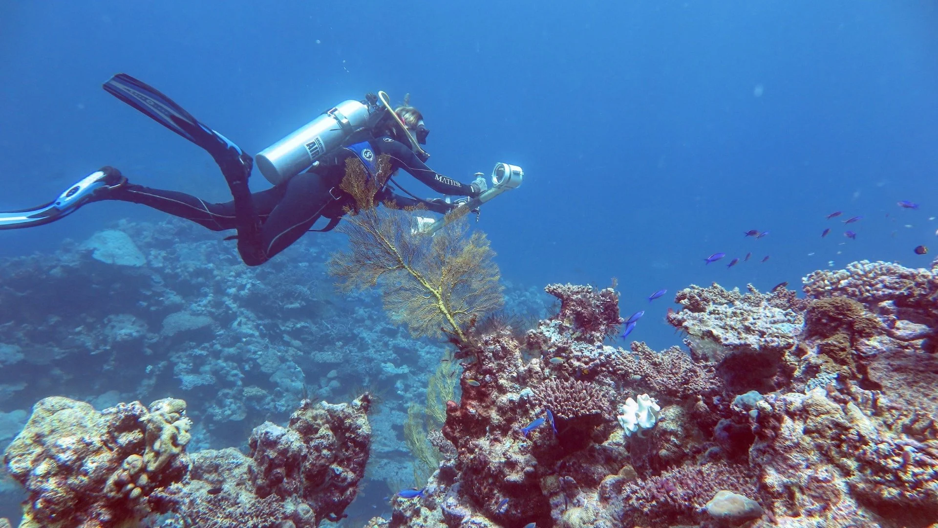 On the line with… Emily Lester — Australian Society for Fish Biology