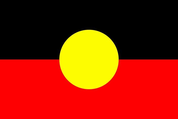 Indigenous Flag.jpg