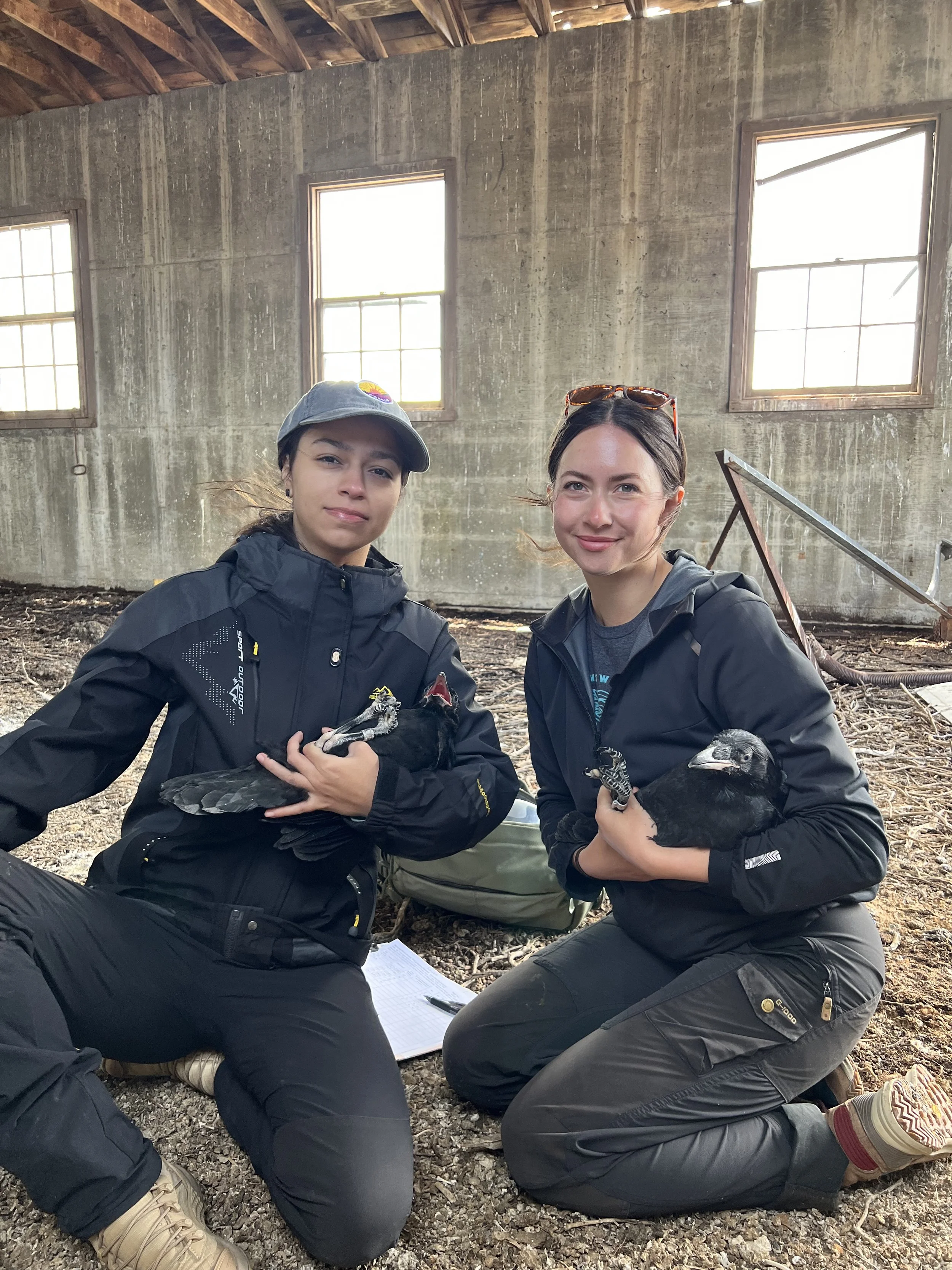 Solai and Gabriela, both with Raven chicks.