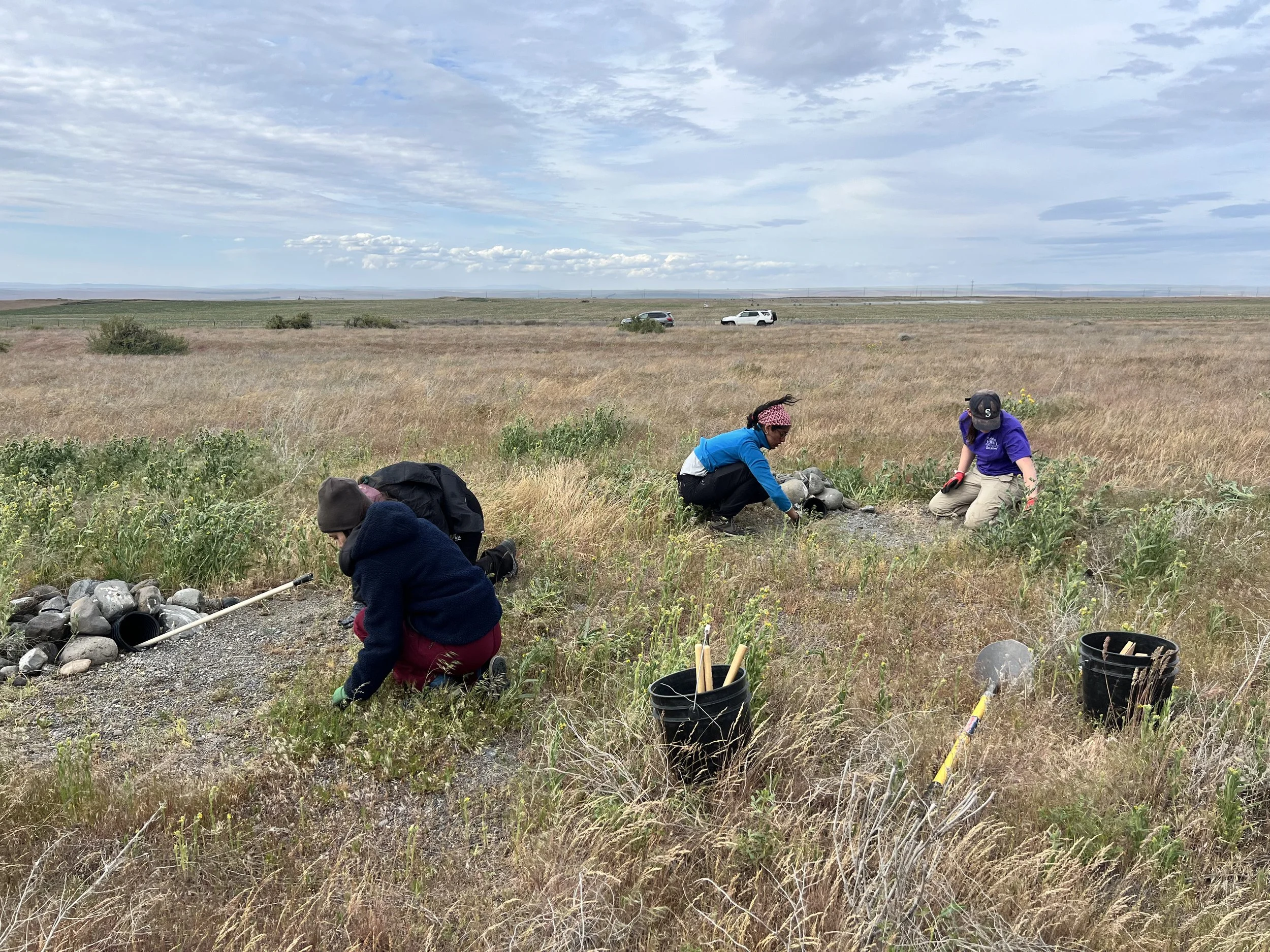 Site checkup and vegetation clearing. 