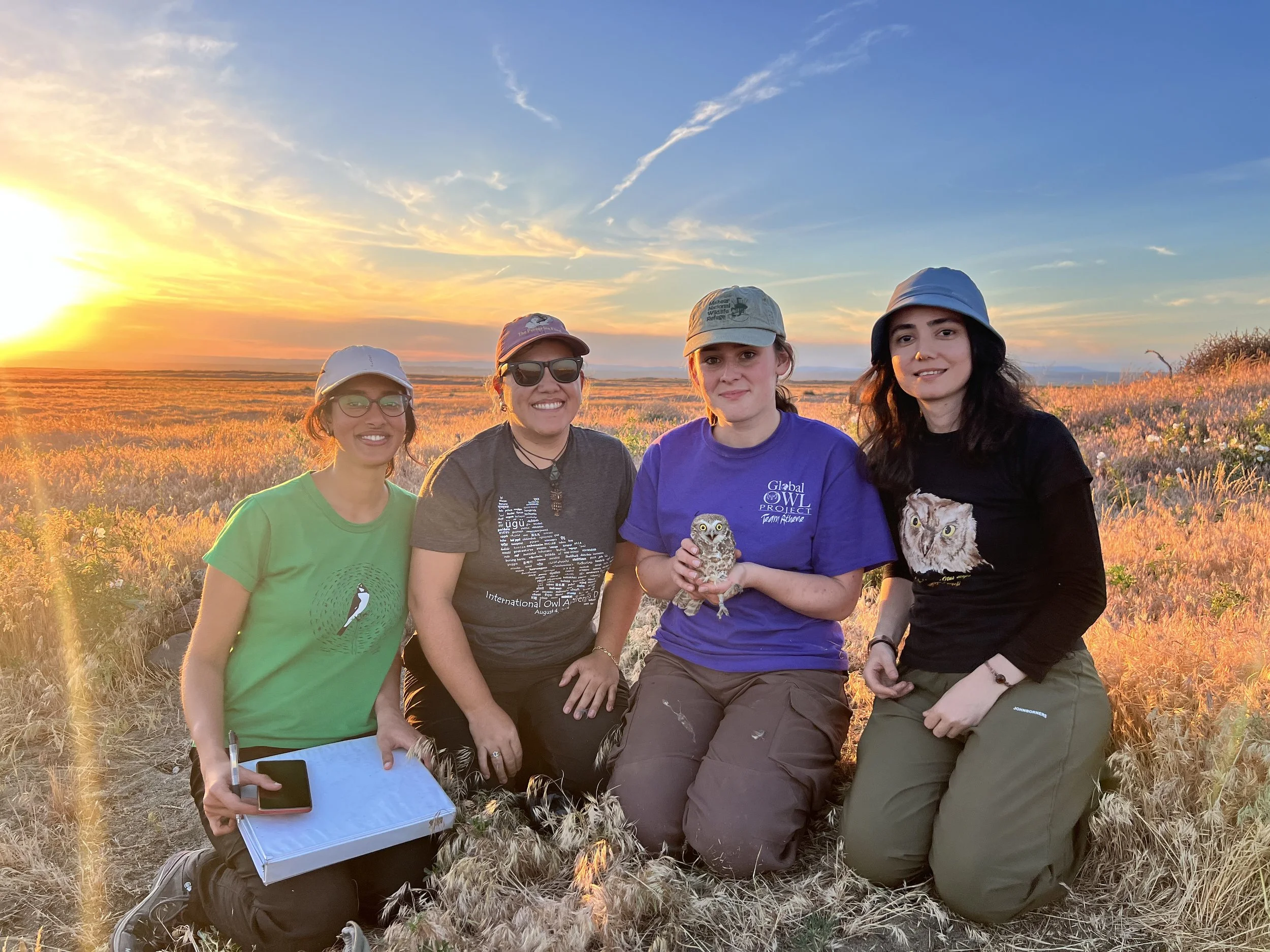 Mala, Priscilla, Clara (with an owl), and Elif in the golden light of the sunset. 