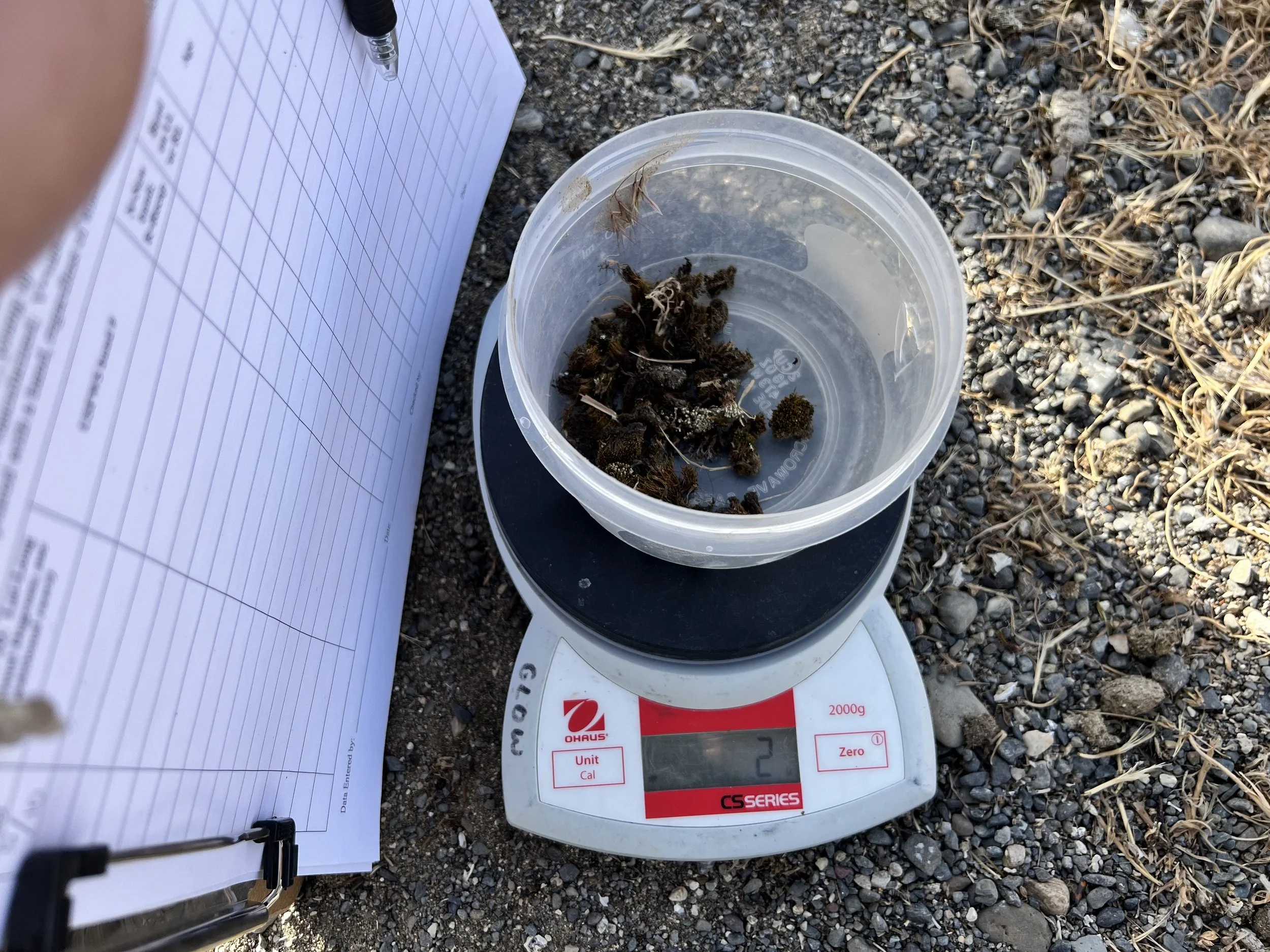 Collection of decoration data.