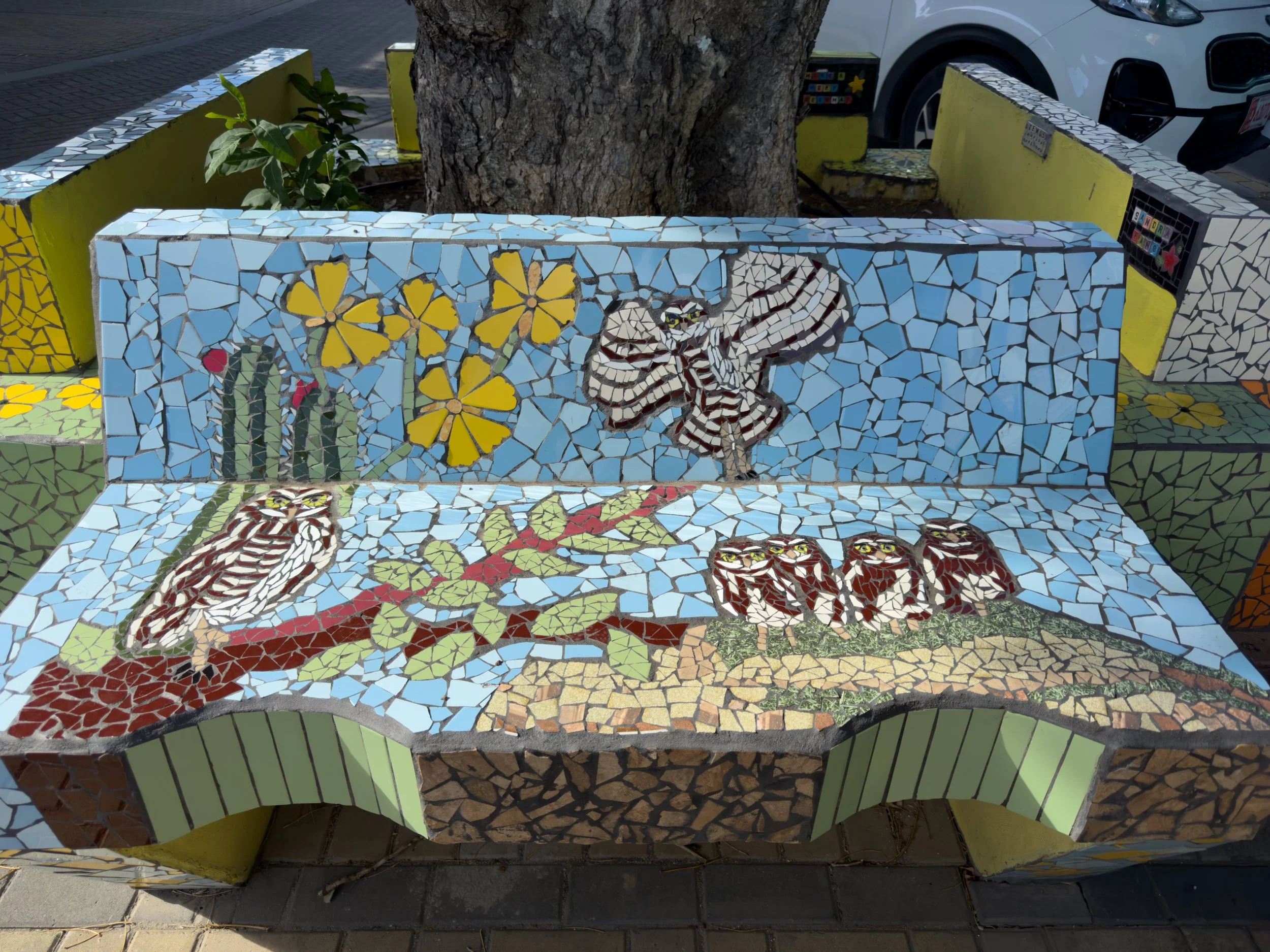 A beautiful bench showcasing a family of Shocos. 