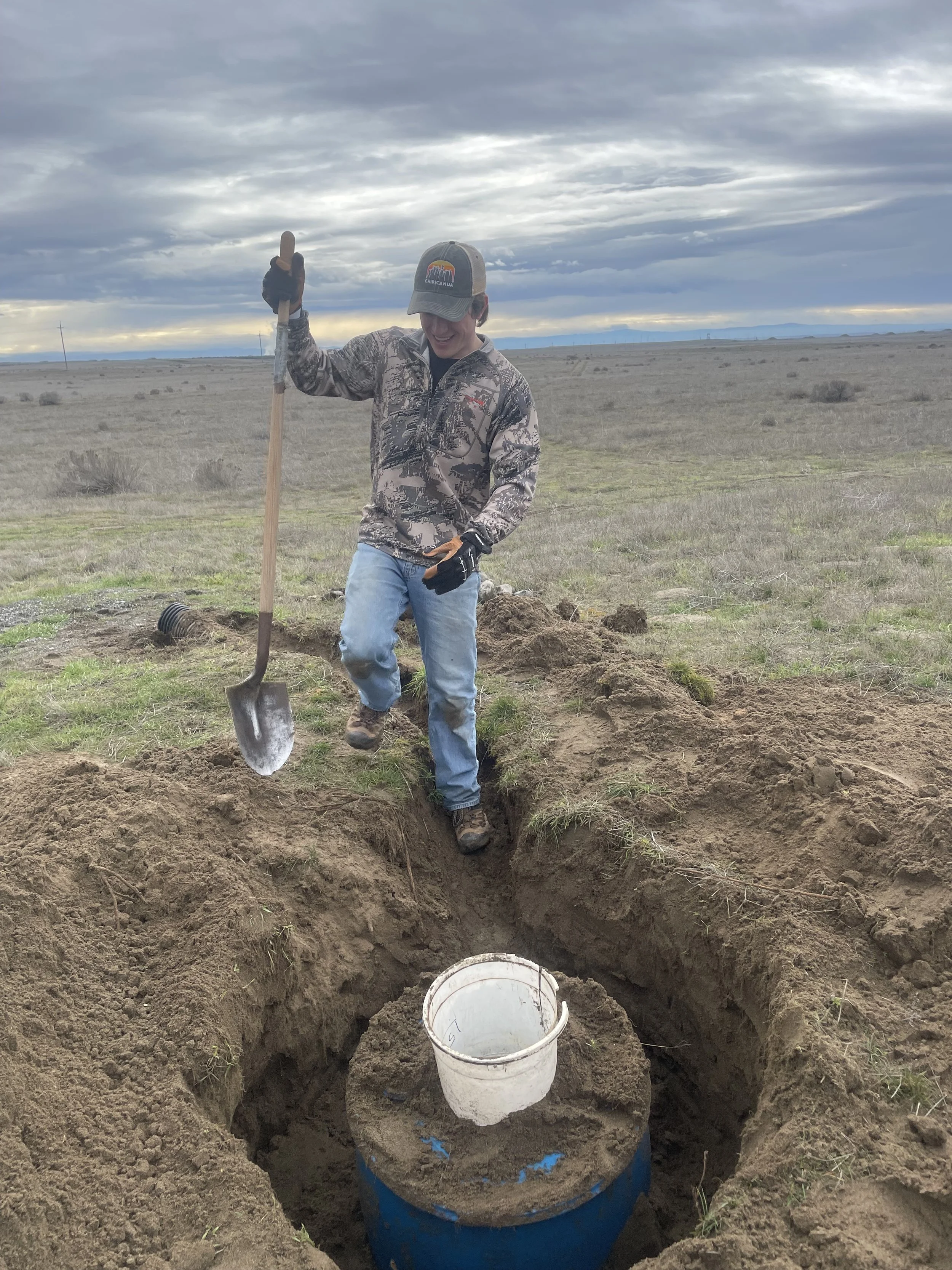 Digging out and replacing an old burrow.