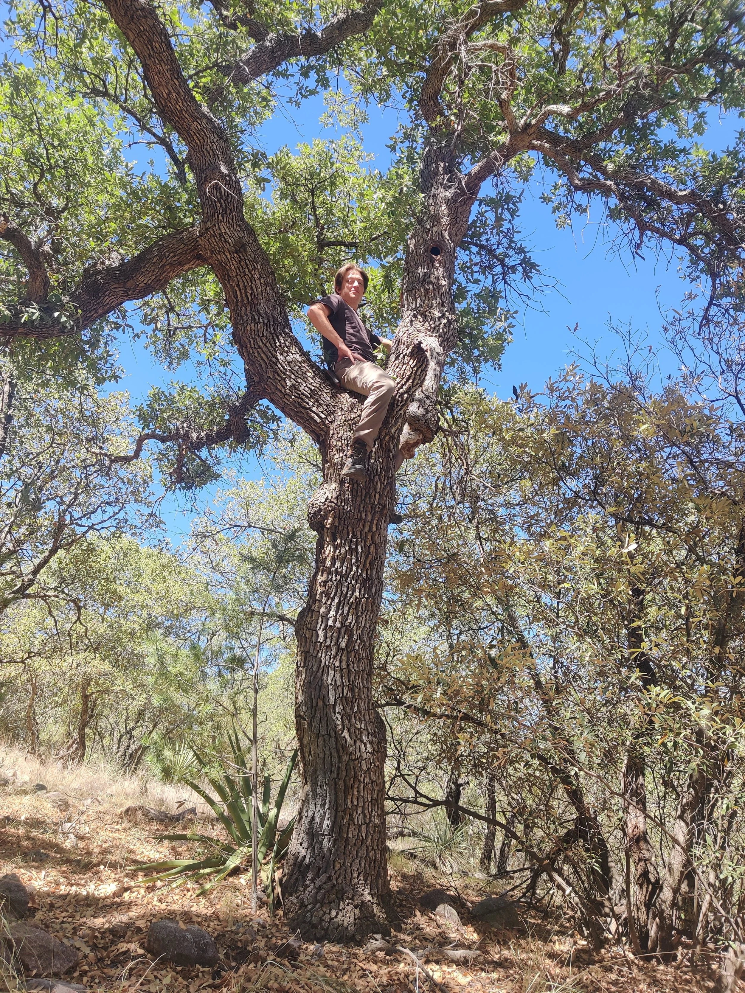 This tree and I go way back.