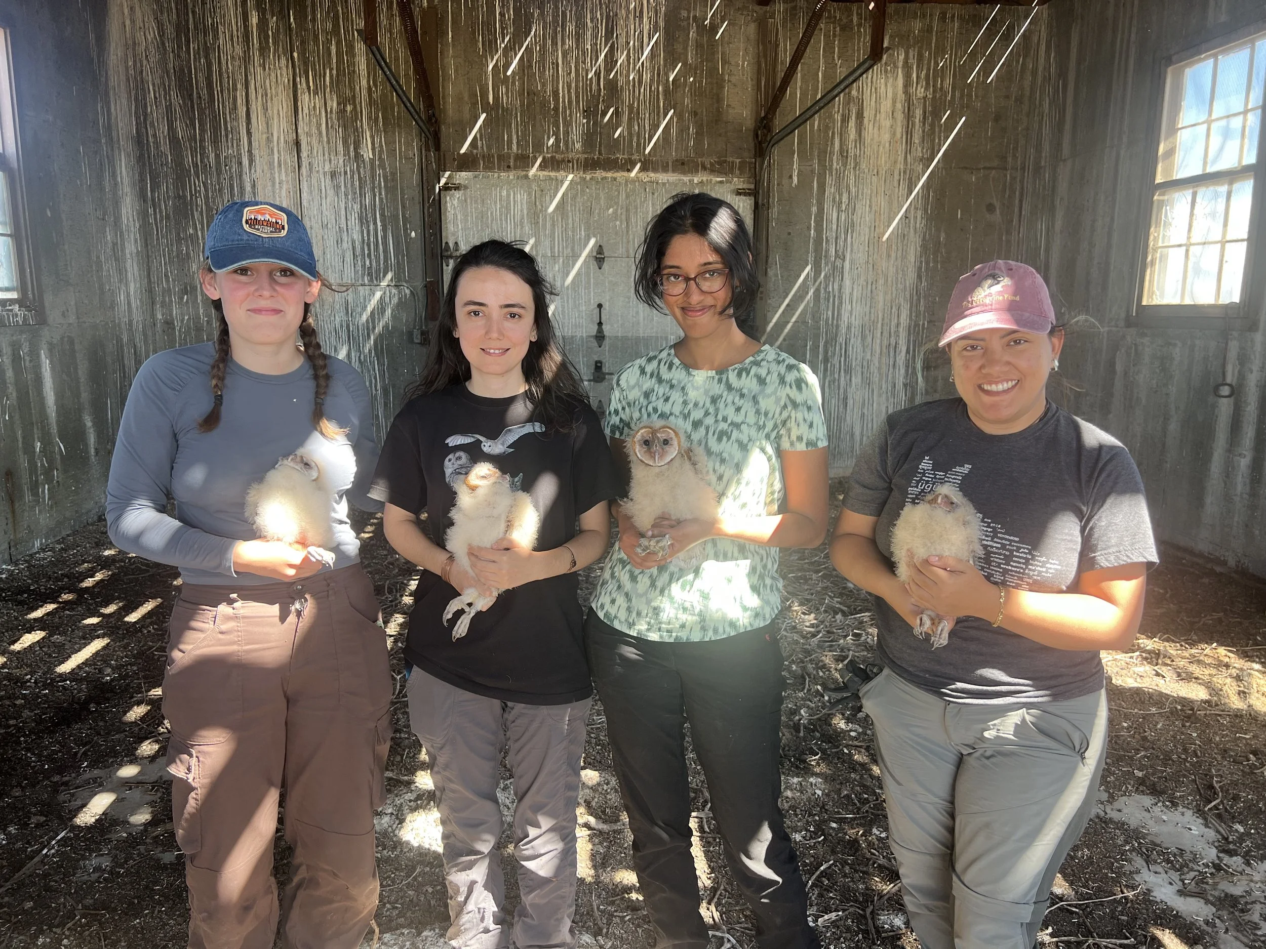 Clara, Elif, Mala, and Priscilla, each with a Barn Owl nestling. 