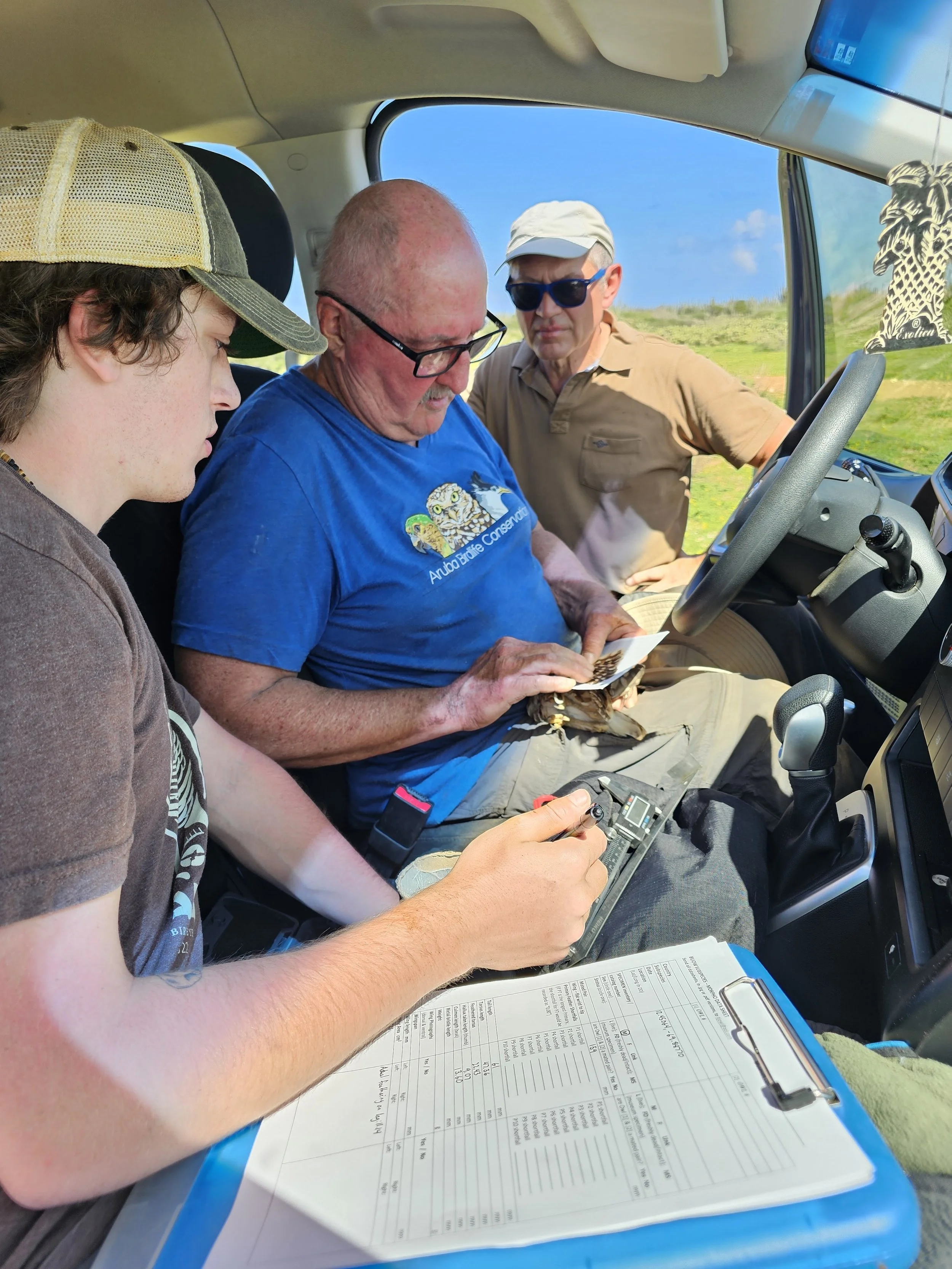 Collecting the primary shortfalls of a Shoco.