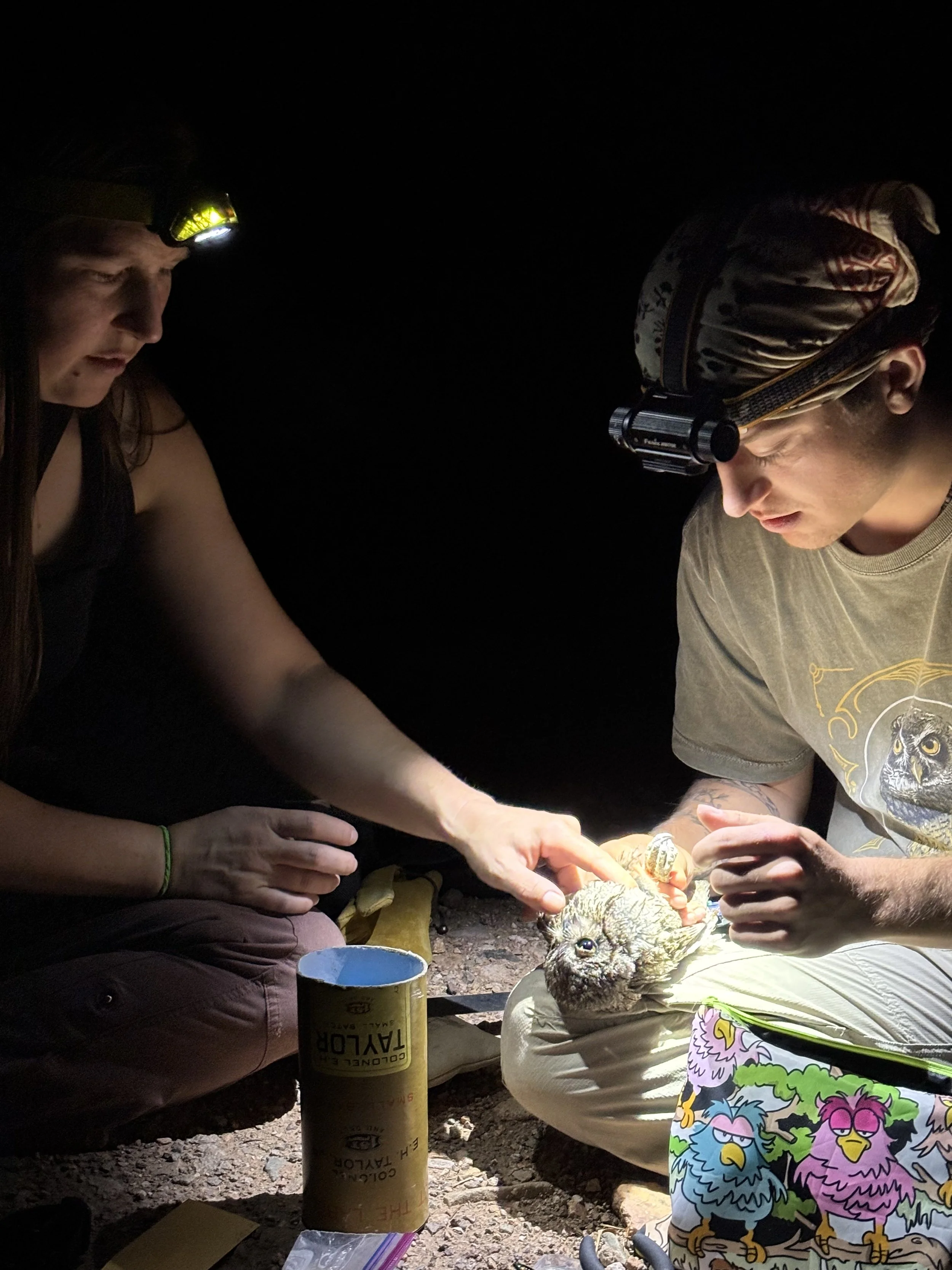 Jessica helping me improve my skills in fat/health measurements. 