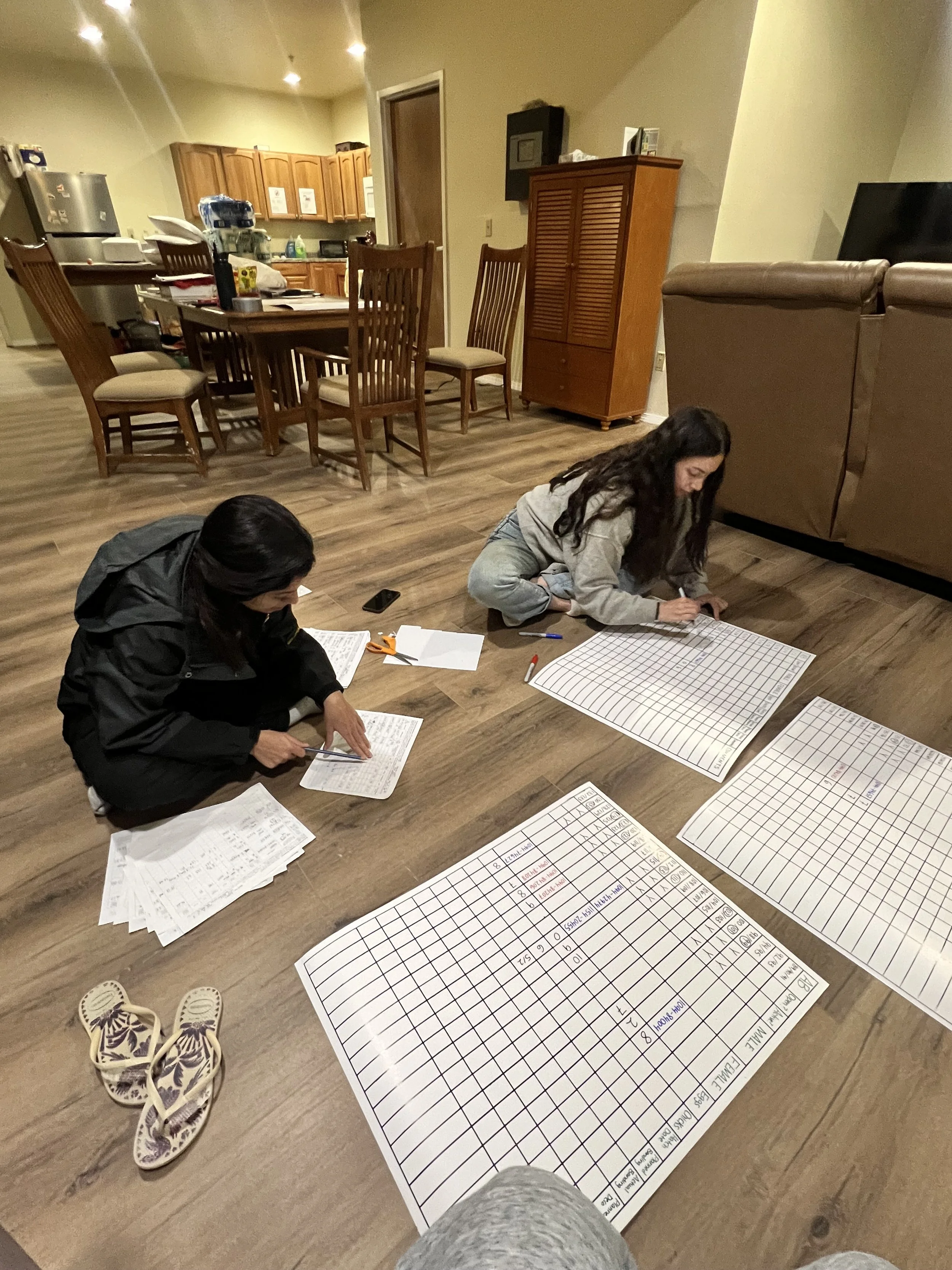 Solai and Gabriela working on the scoreboards.