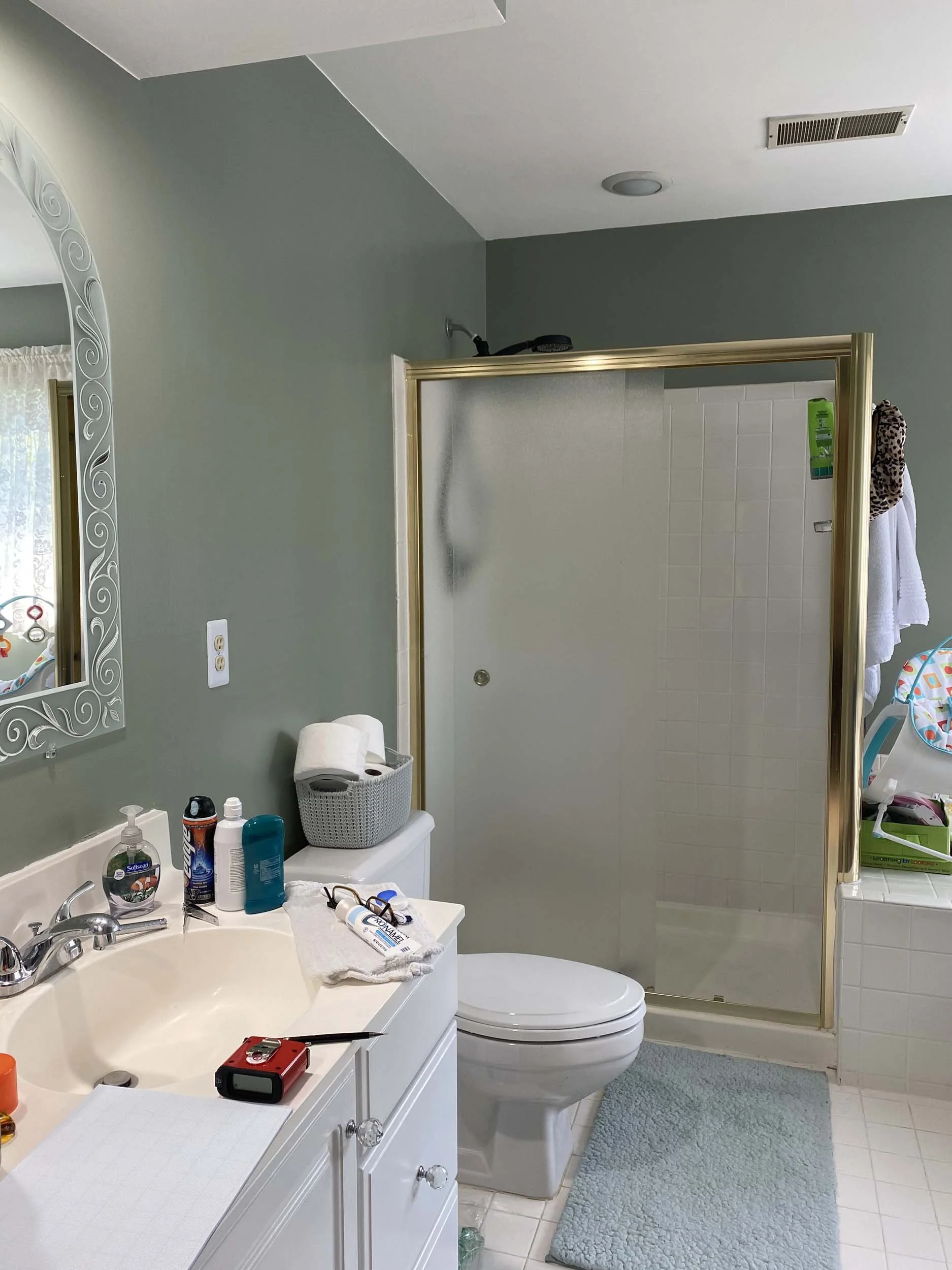 Interior Designer North Potomac MD Mary Fishback Spa Bathroom Before.01.jpg