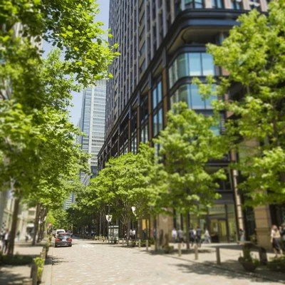 trees high rise .jpg