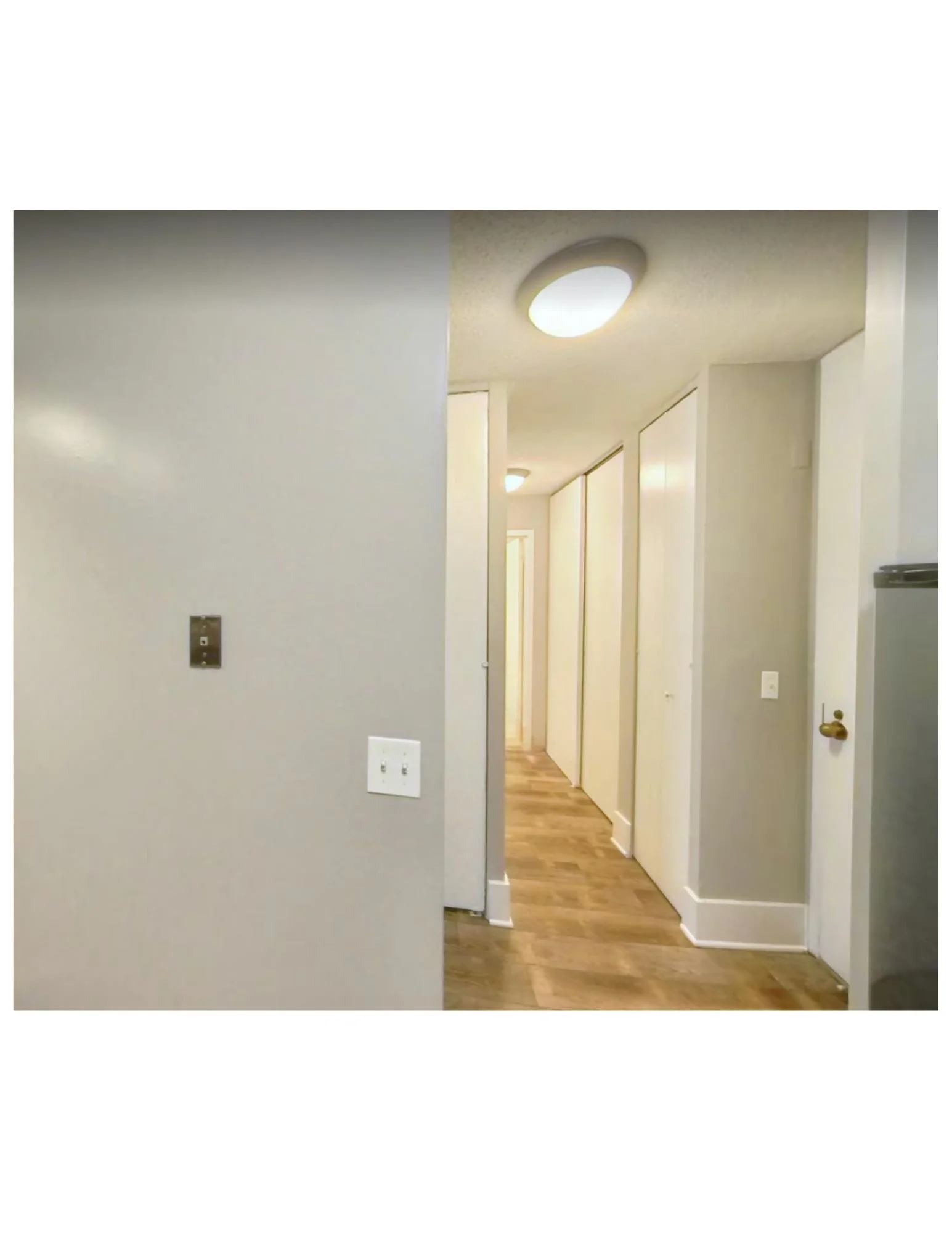 Untitled design (11).jpg