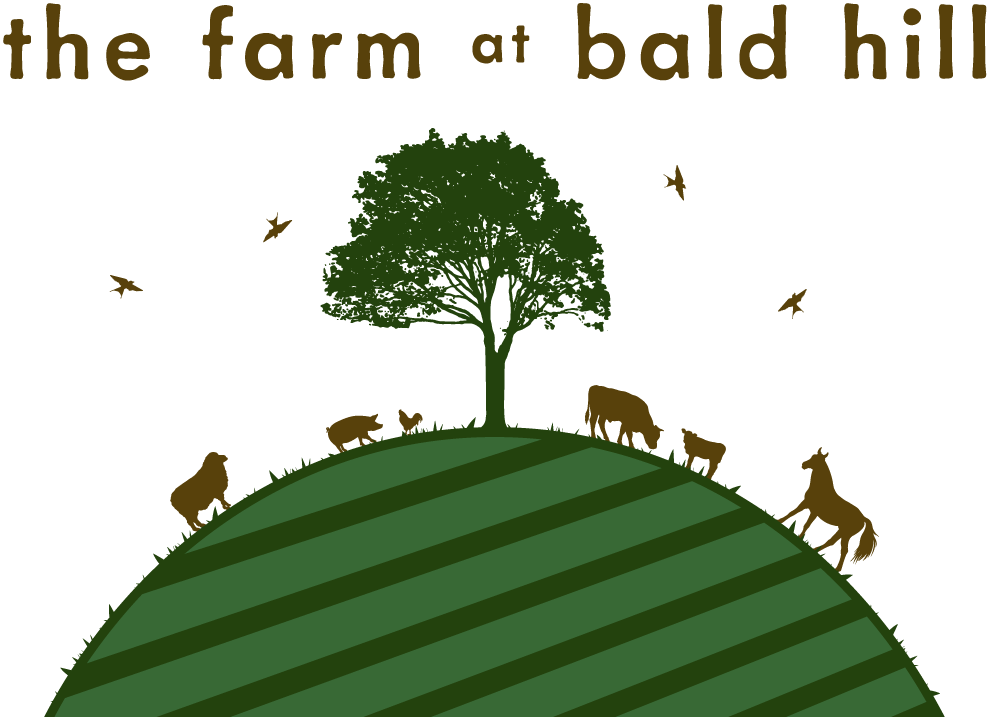 The Farm at Bald Hill