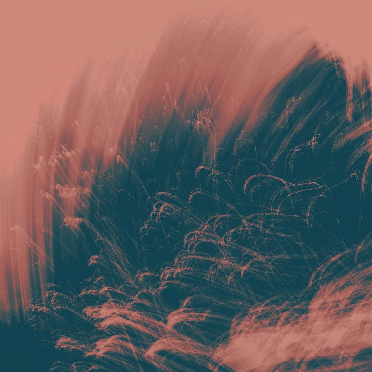 a3300554456_10.jpg