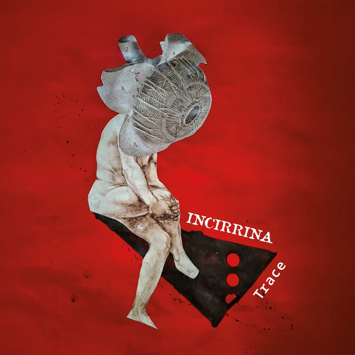 a1264412672_10.jpg