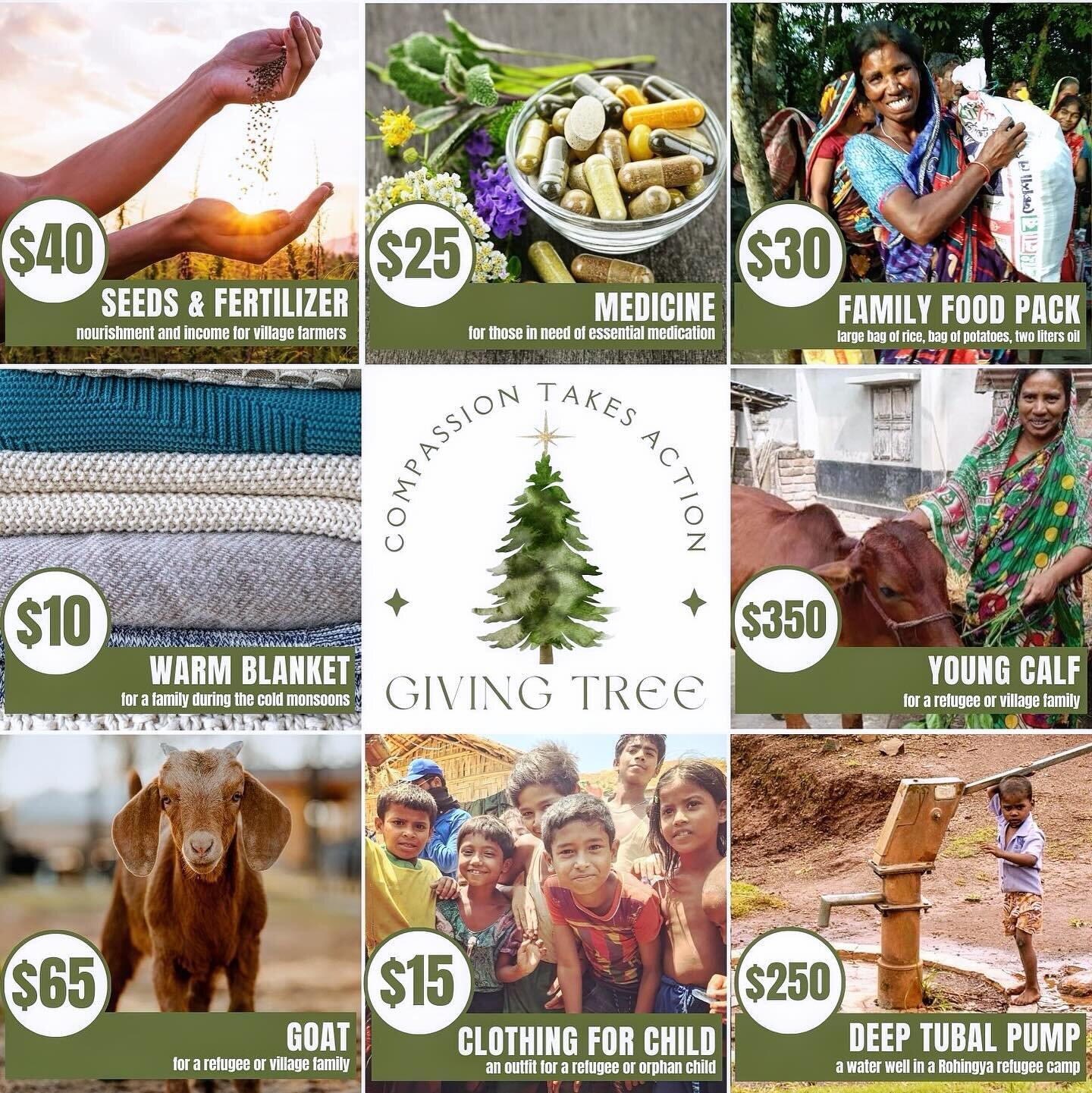 GIVING TUESDAY IS HERE!!! Give something truly life-changing to a family in Bangladesh with Compassion Takes Action&rsquo;s Giving Tree 🌲 #givegood #givingtuesday