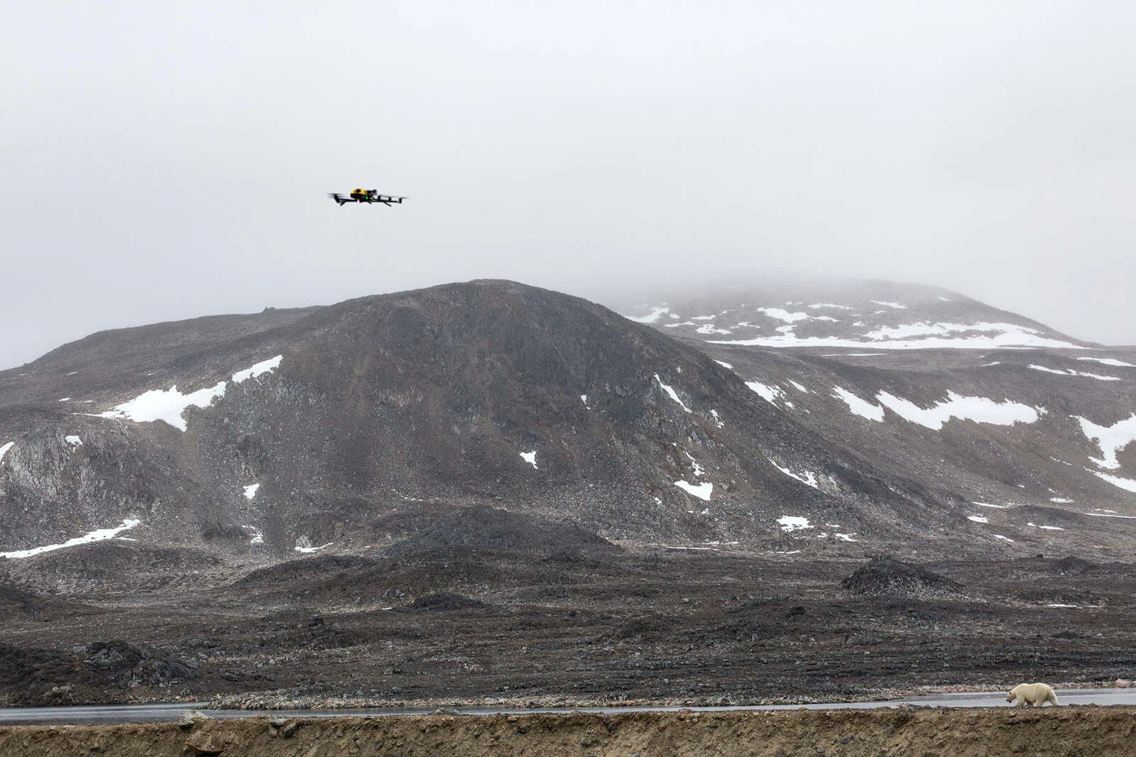 Polar-Bear-BTS-95_1600_c.jpg