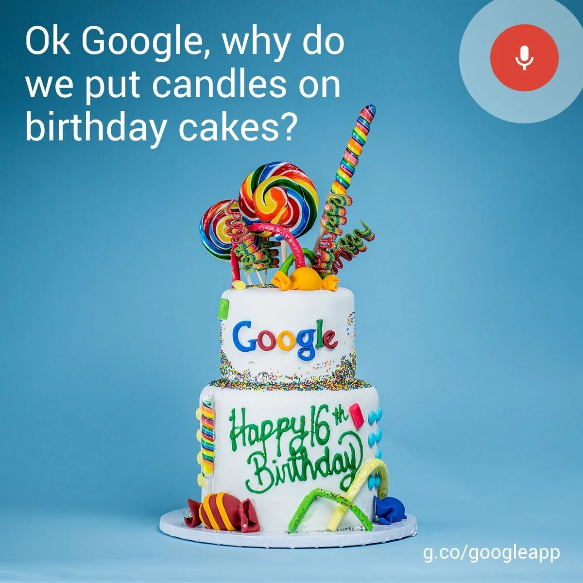 10661639_10152735221747838_7309242092428064674_o_o.jpg