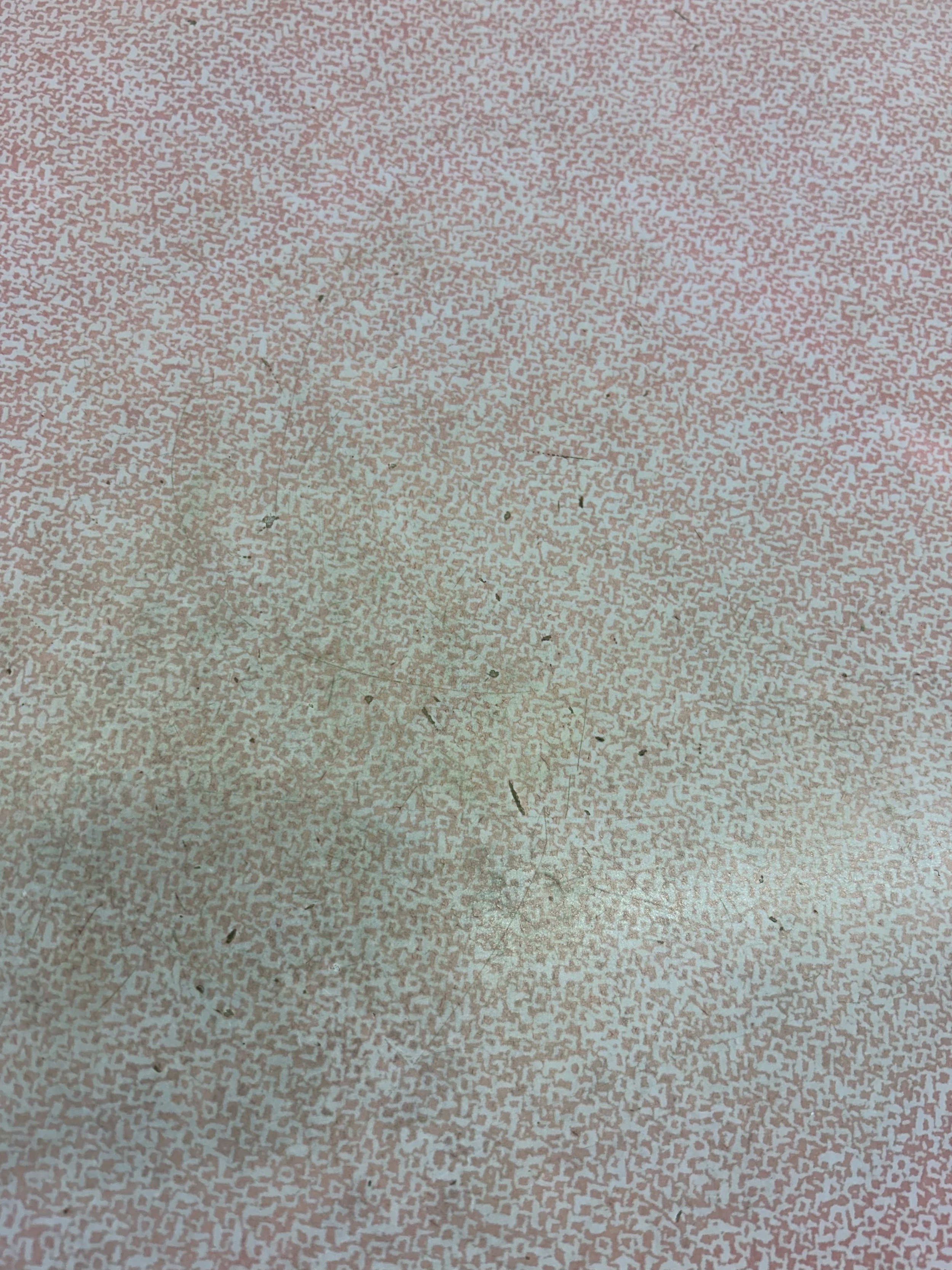 IMG_5430.jpeg