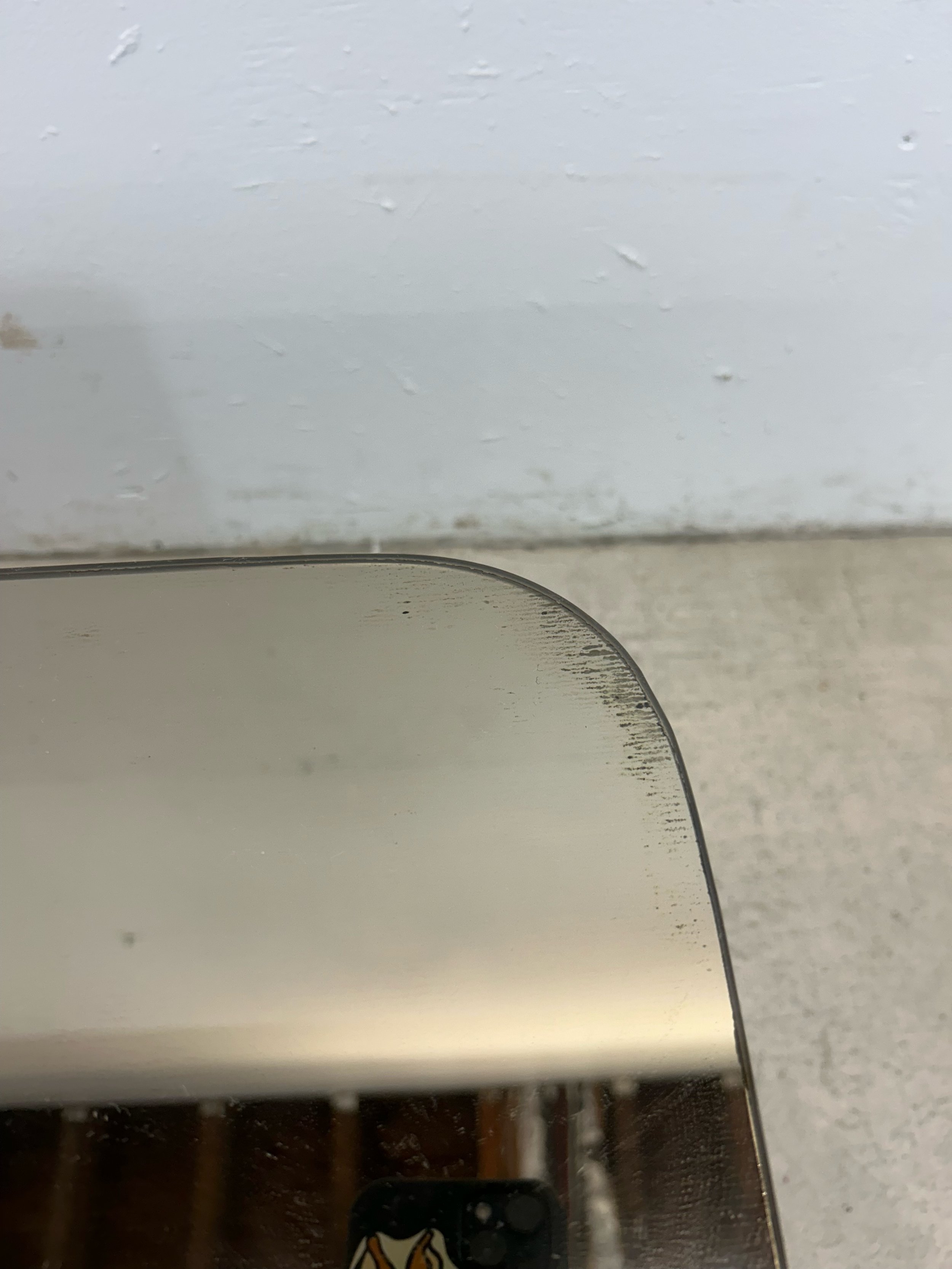 IMG_9603.jpeg