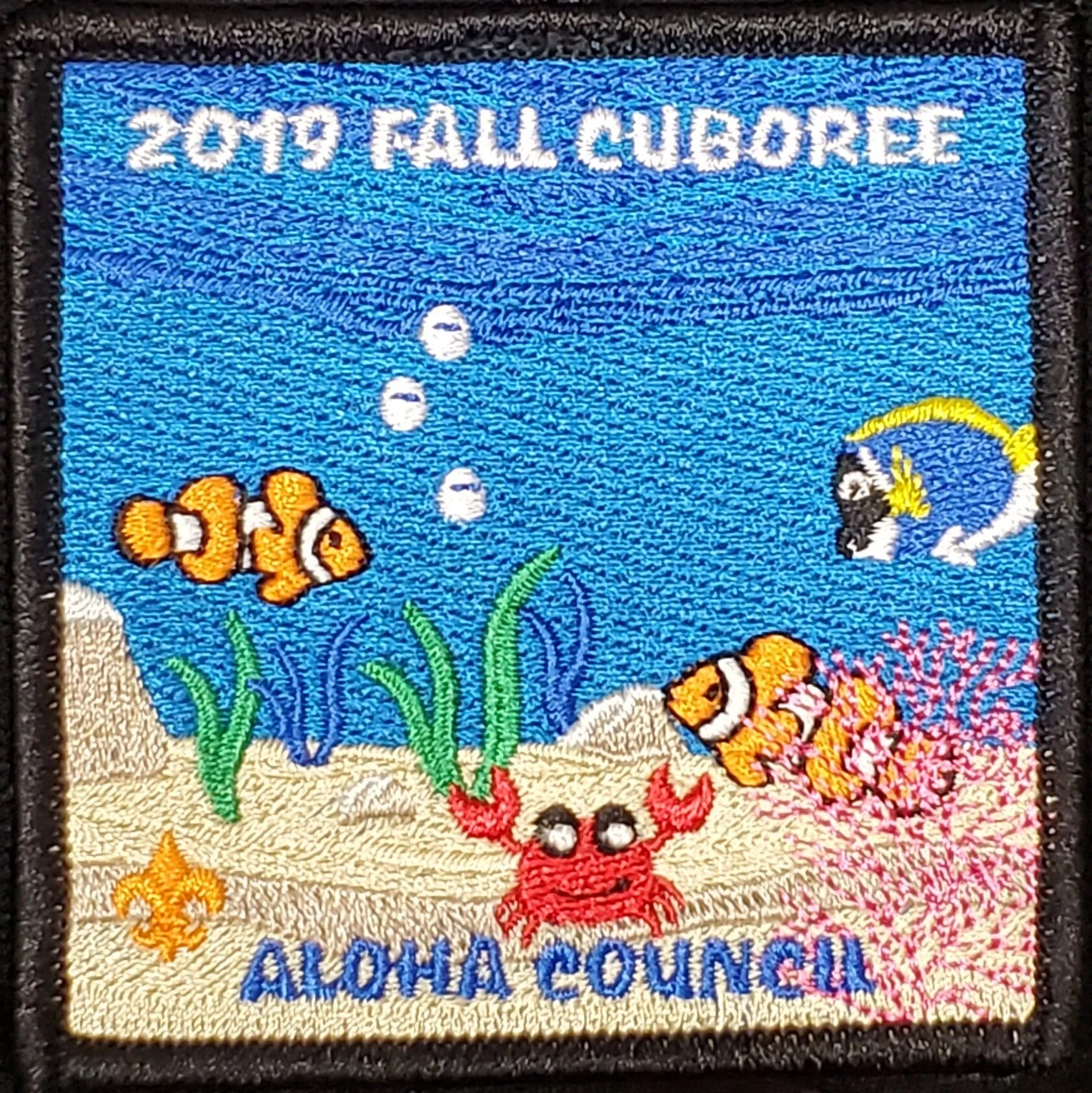 2019 Fall Cuboree.jpg