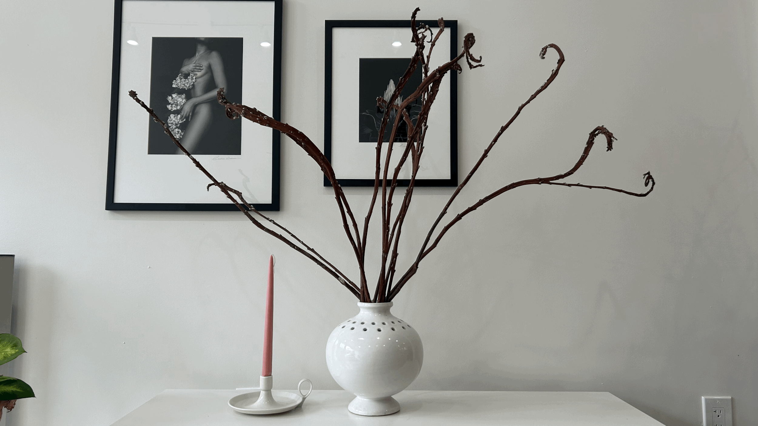 Salix Udensis (with Vase)