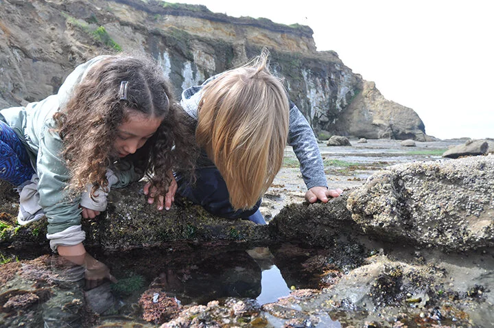 Tide and peek
