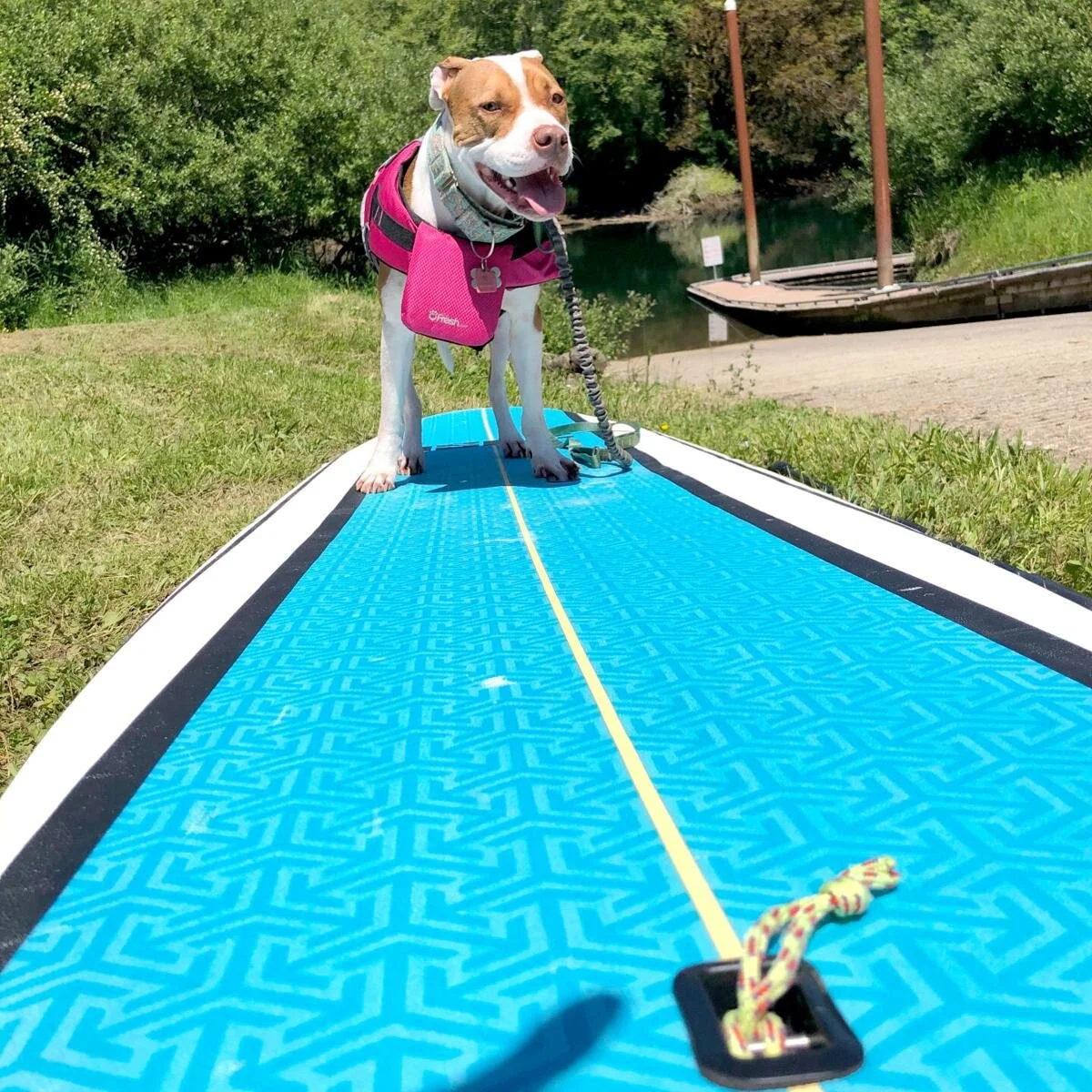 SUP, dawg?