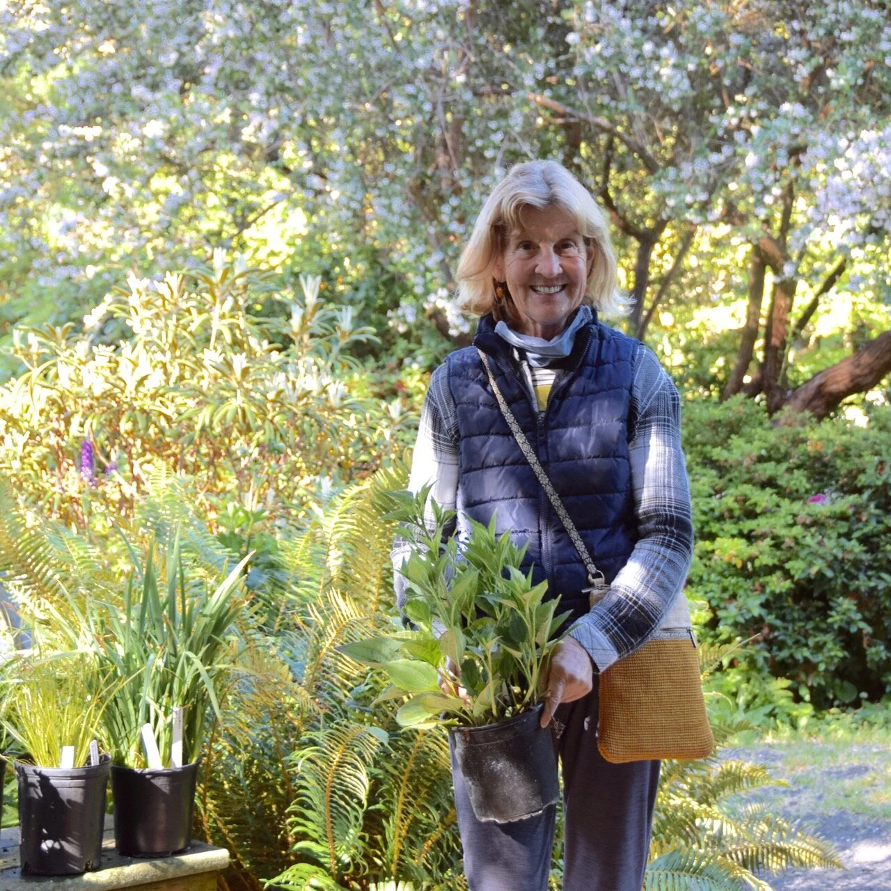 Gardens - 20.jpg